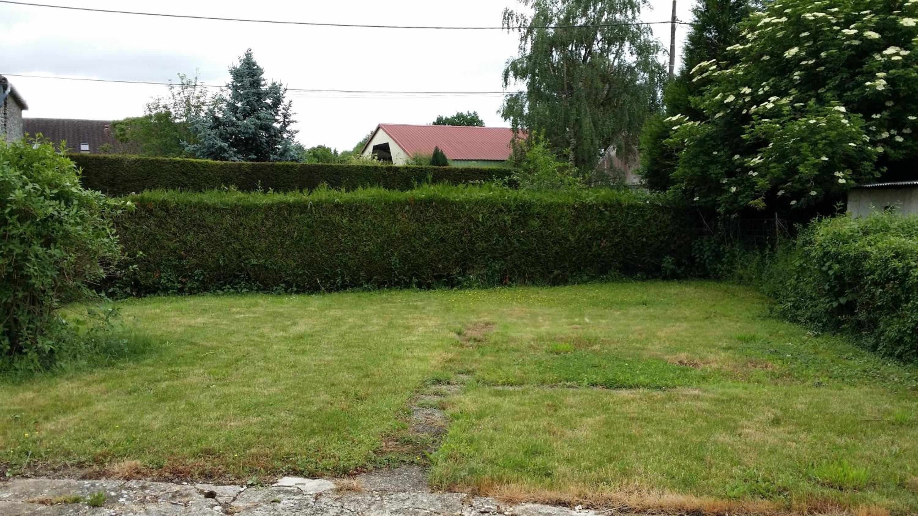 Photo 7