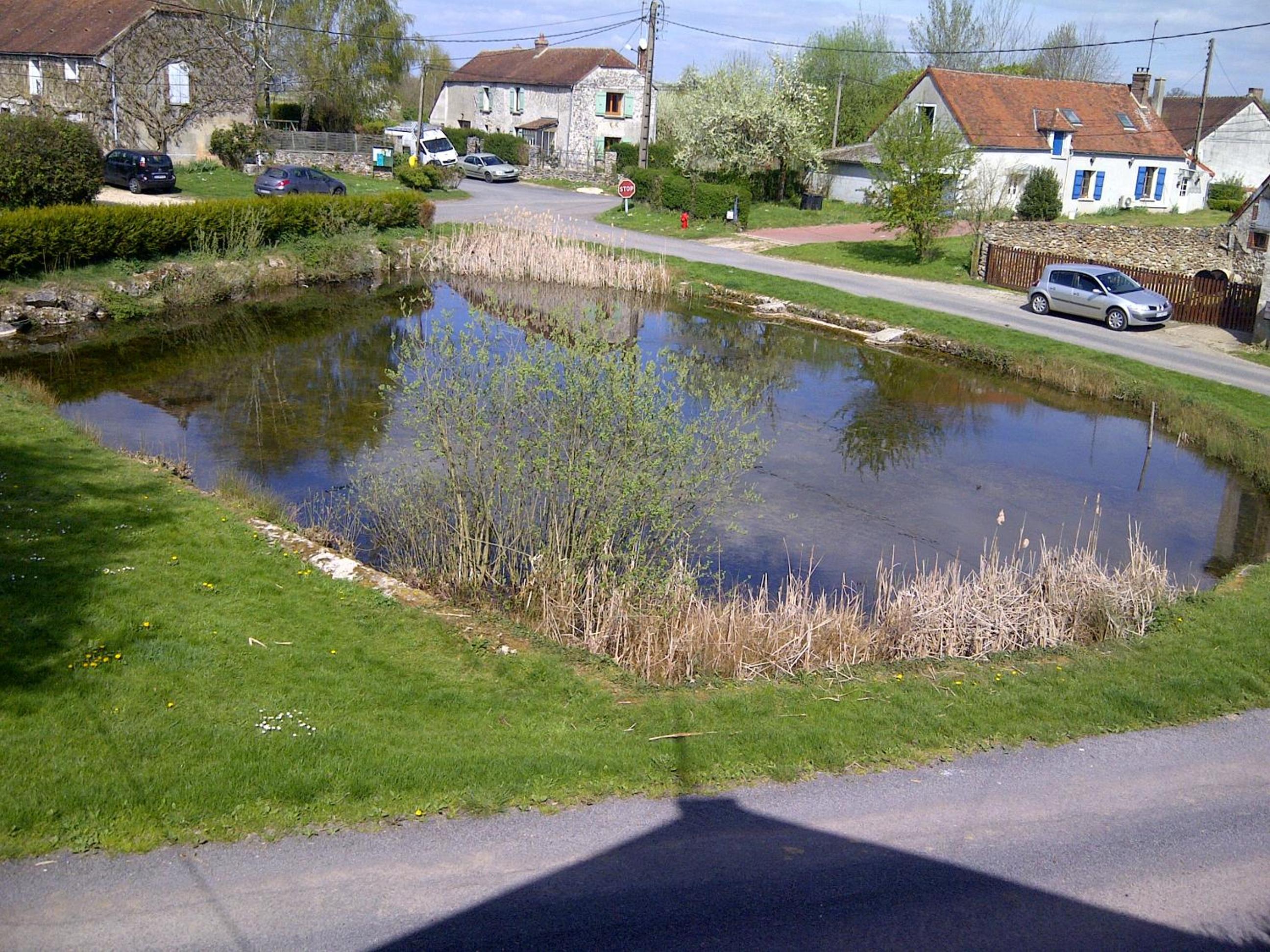 Gite Du Grand Morin view 3