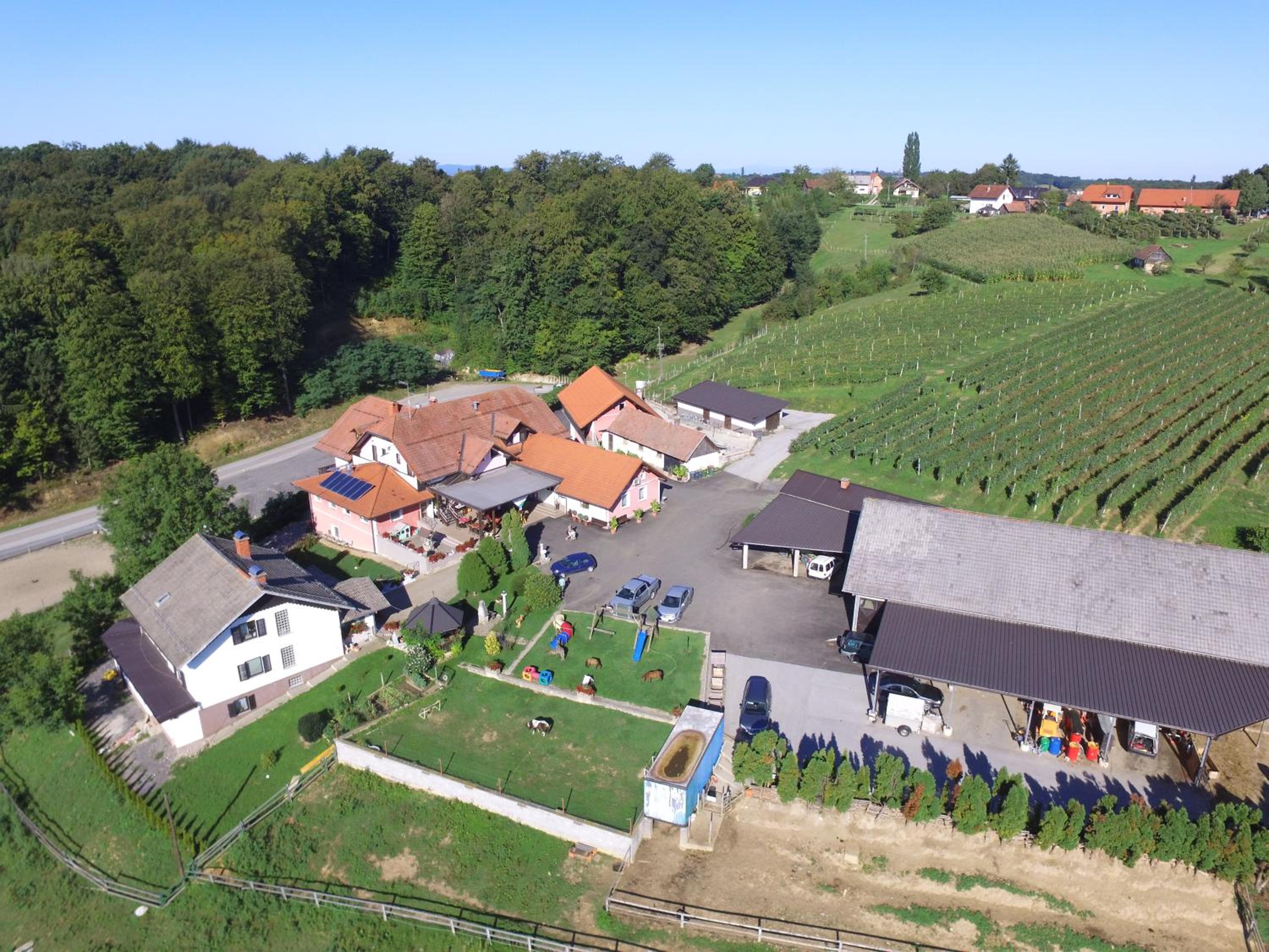 Guesthouse Kaučič, photo 17