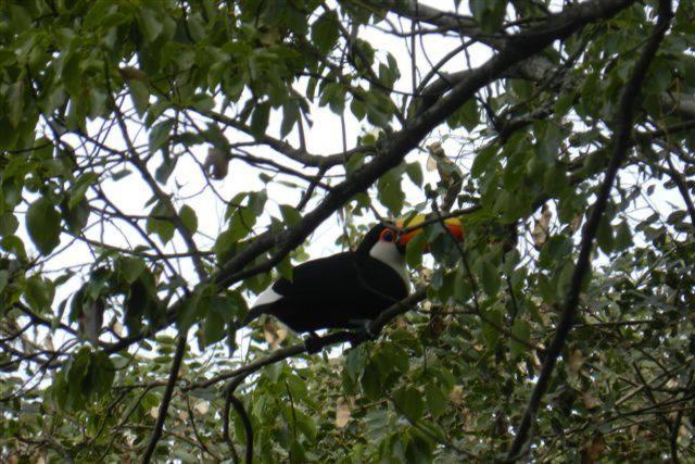 Finca La Colorada