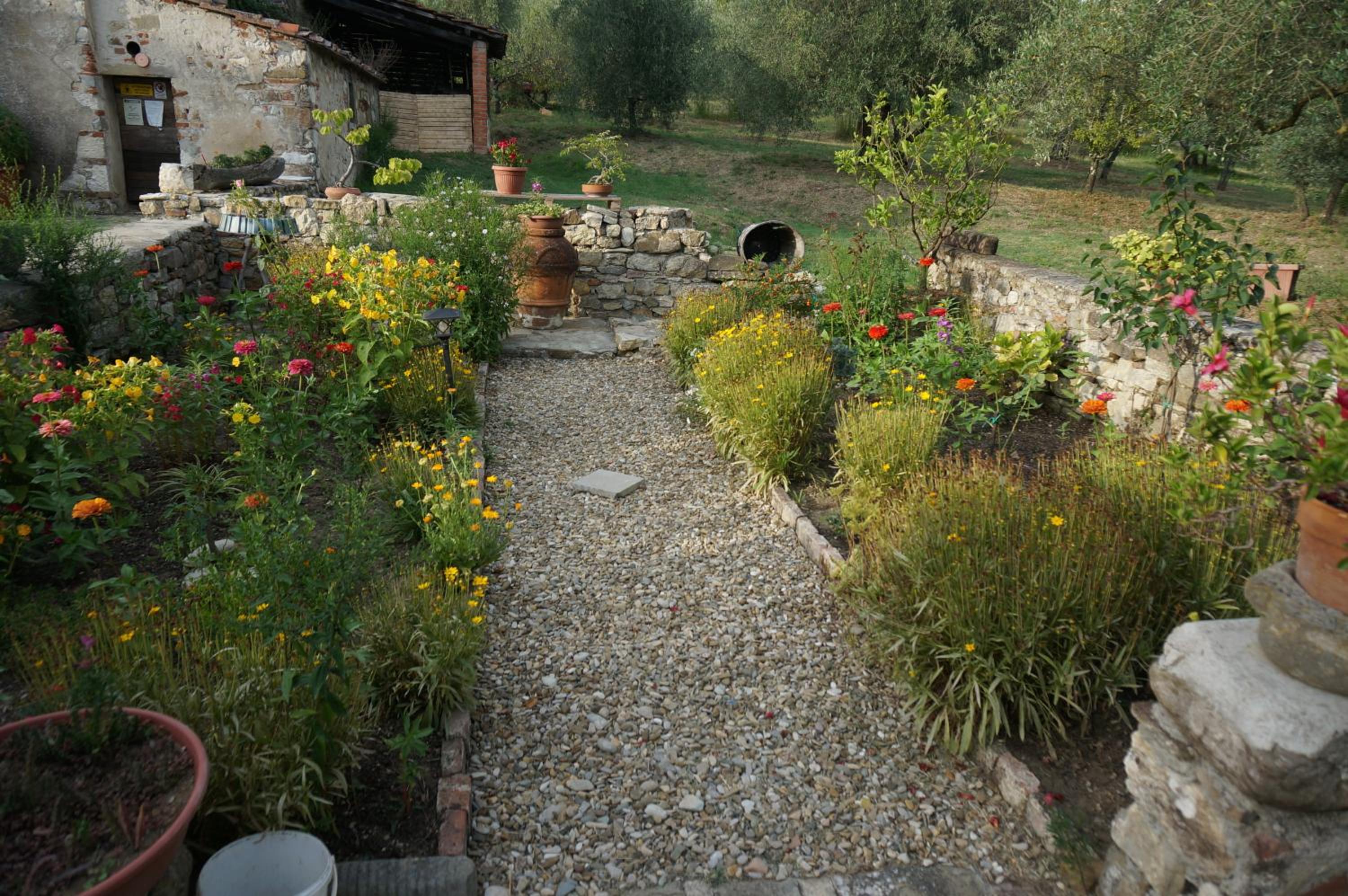 Photo 14