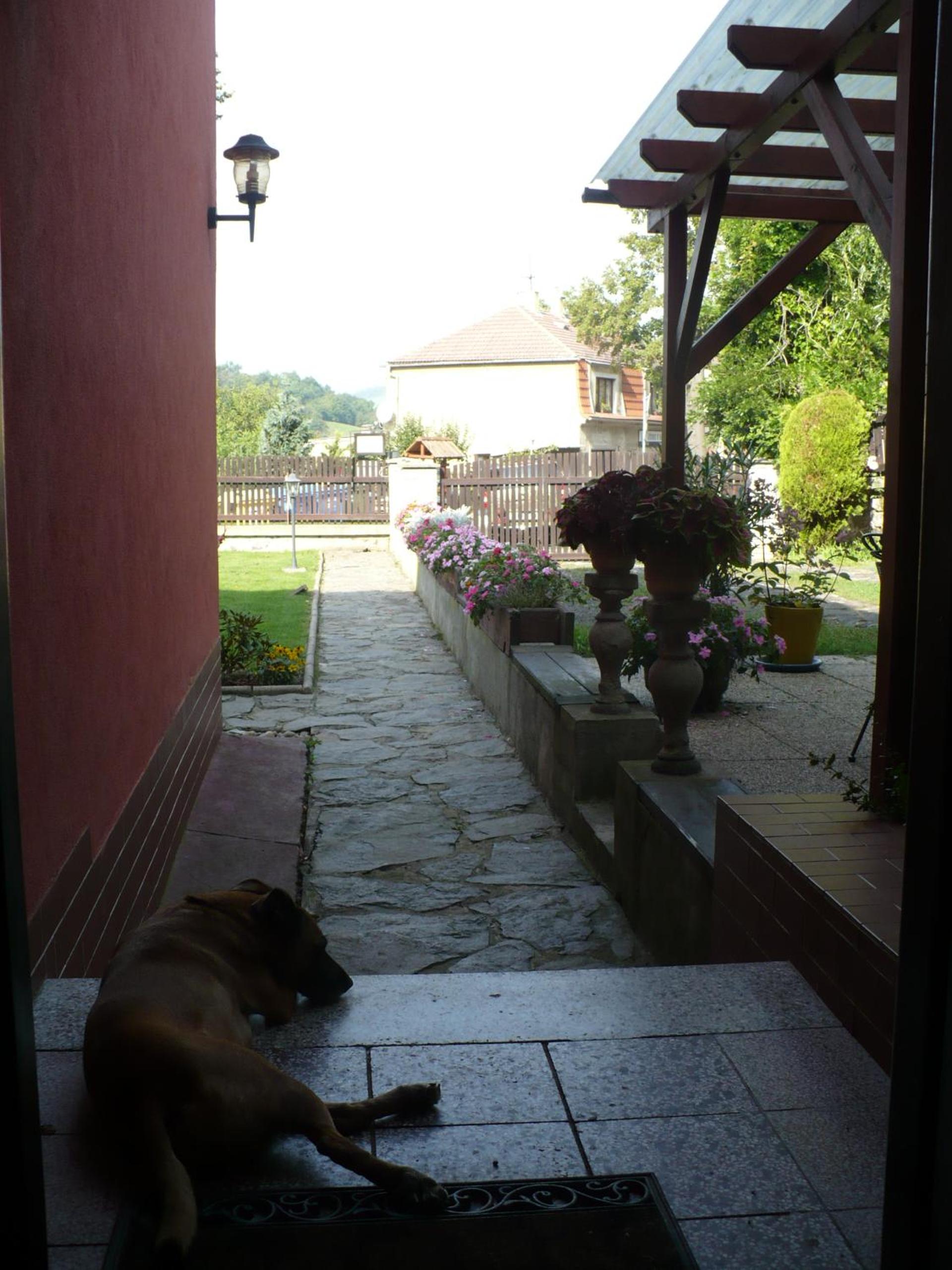 Photo 50