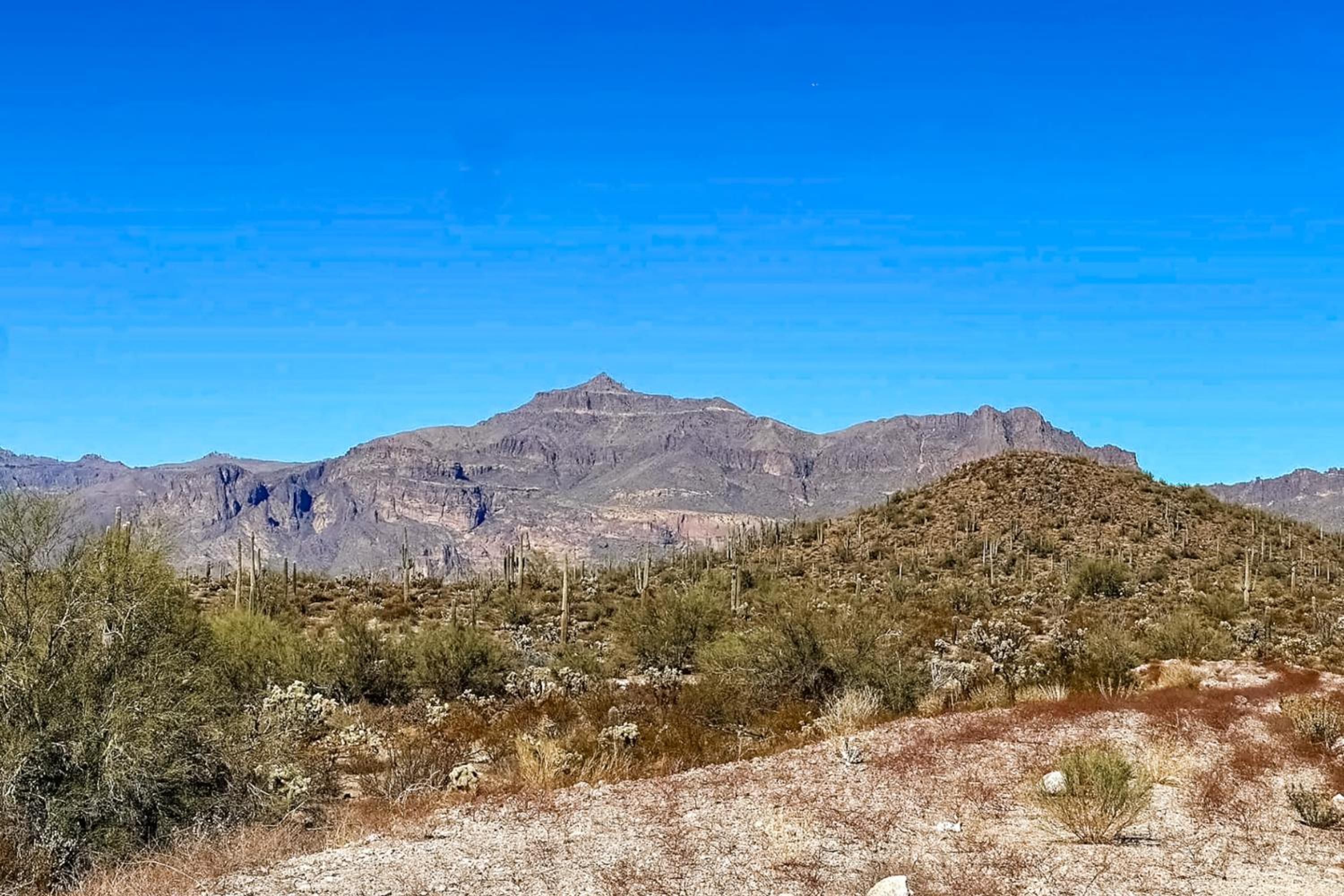 Stargazing and Mtn Views! Serene Home in Gold Canyon