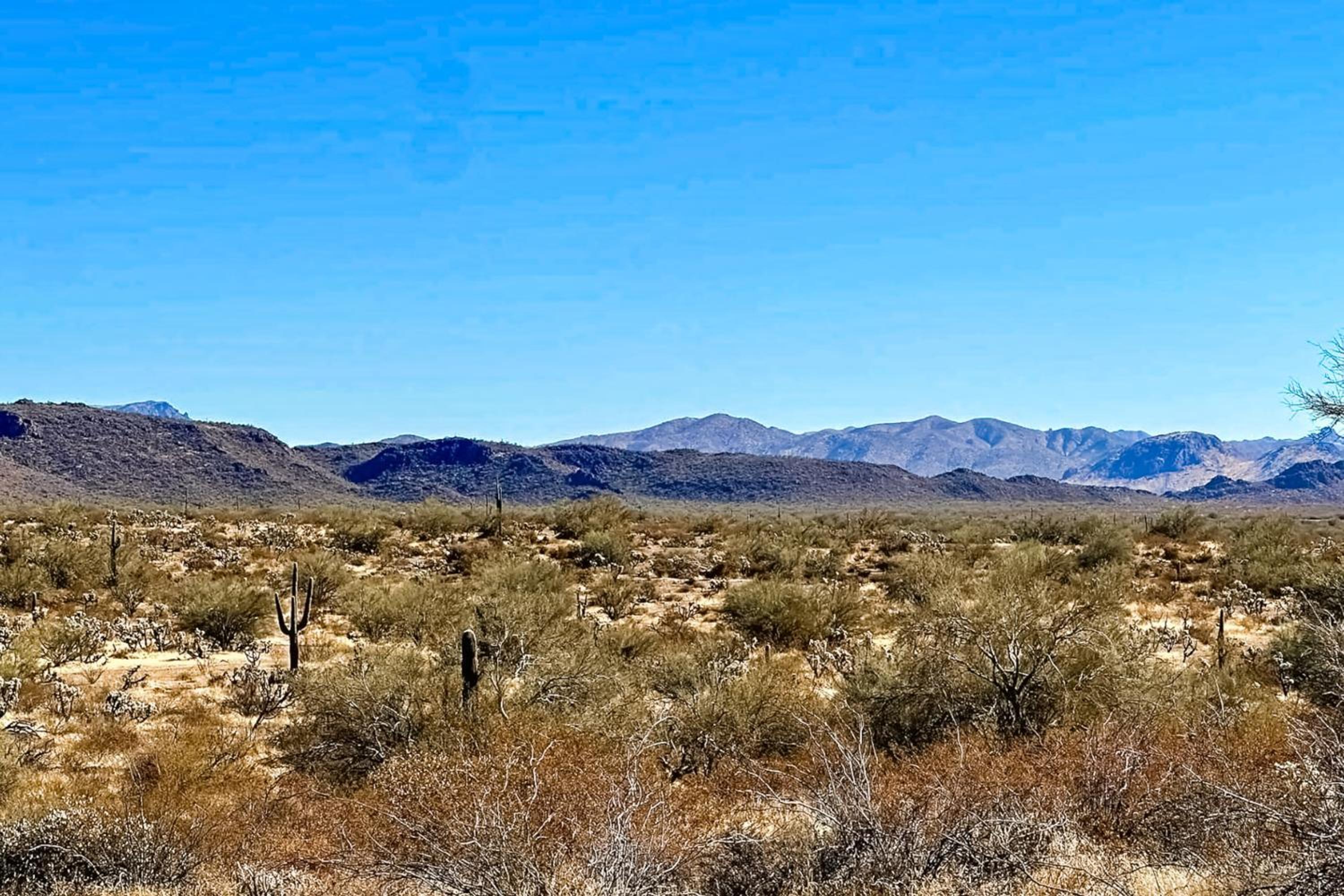 Stargazing and Mtn Views! Serene Home in Gold Canyon