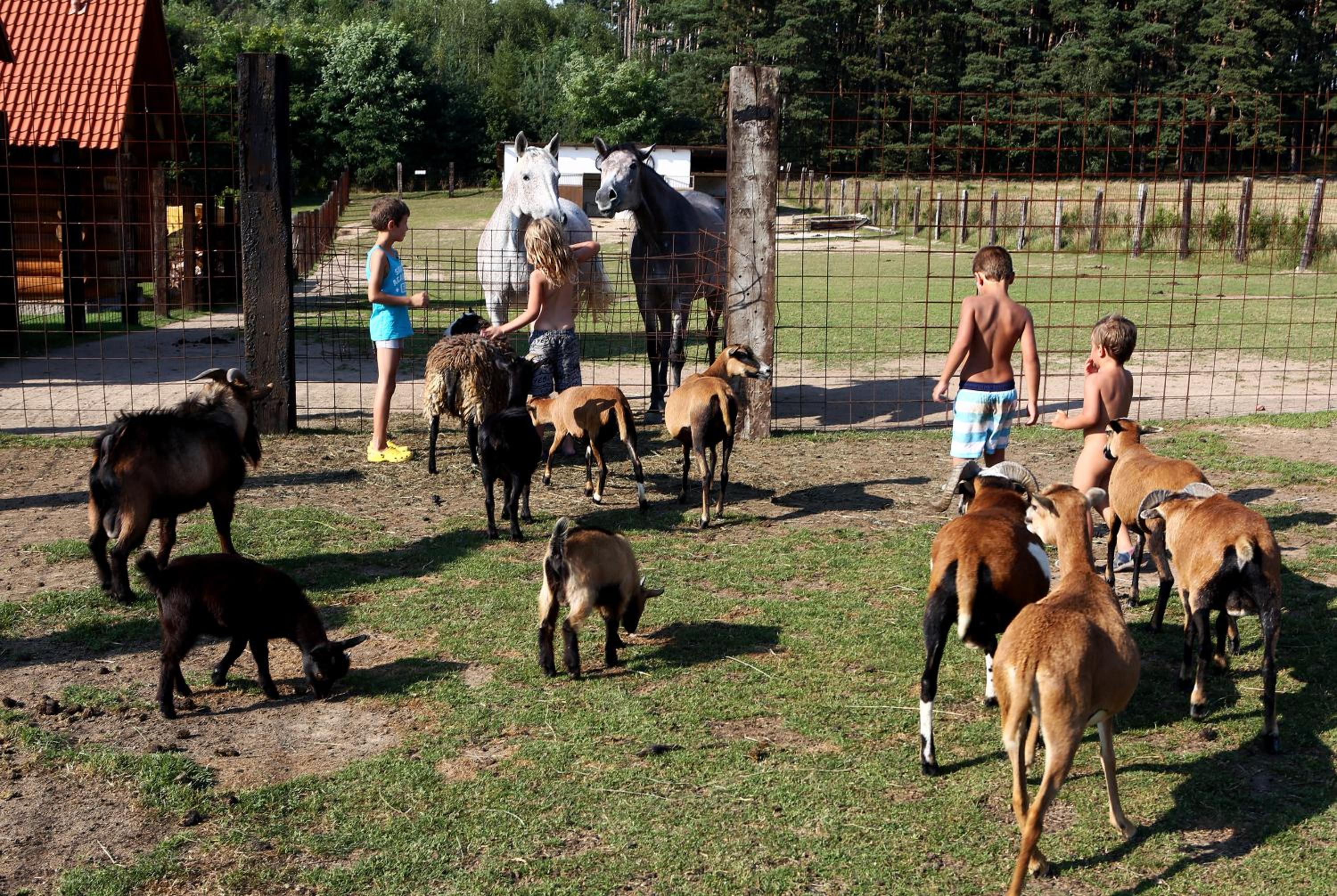 Na Samotě Ve Srubu
