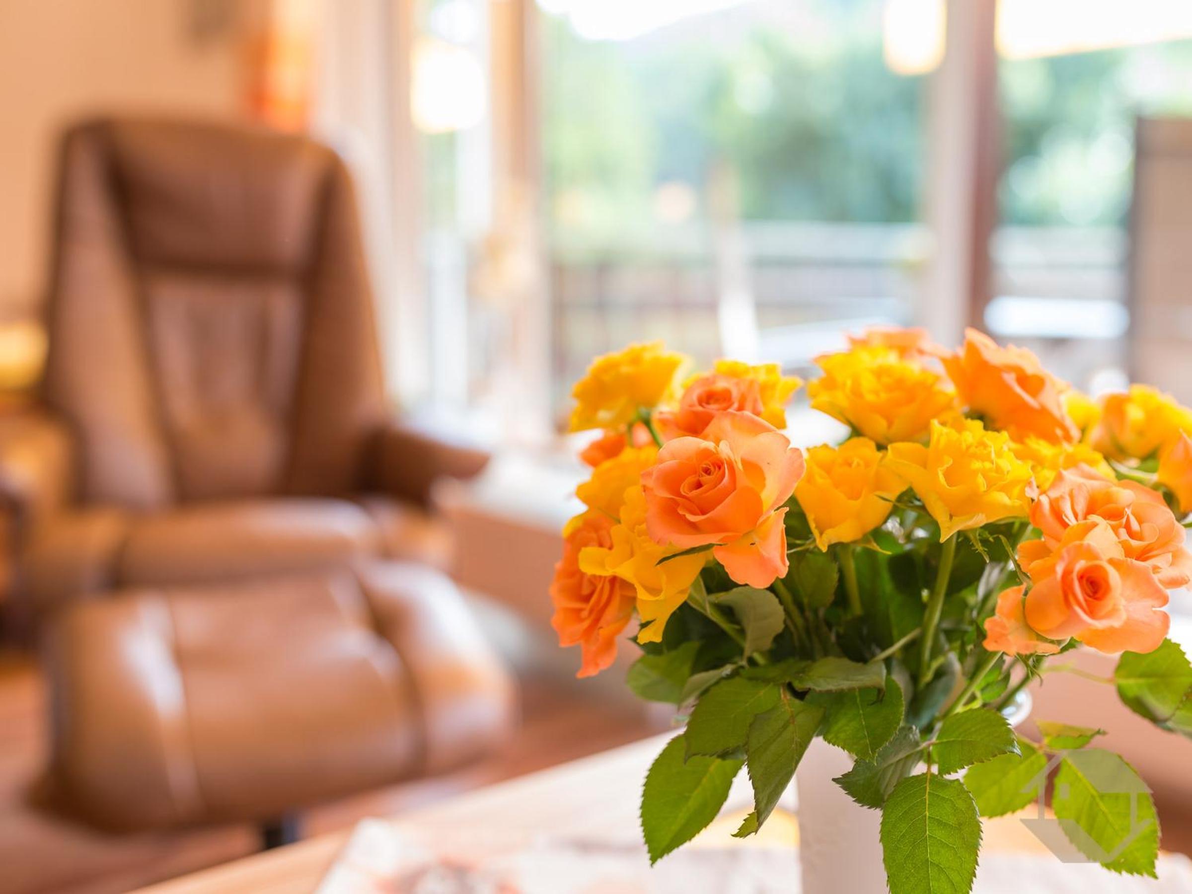 Ferienwohnung Sonnenschein