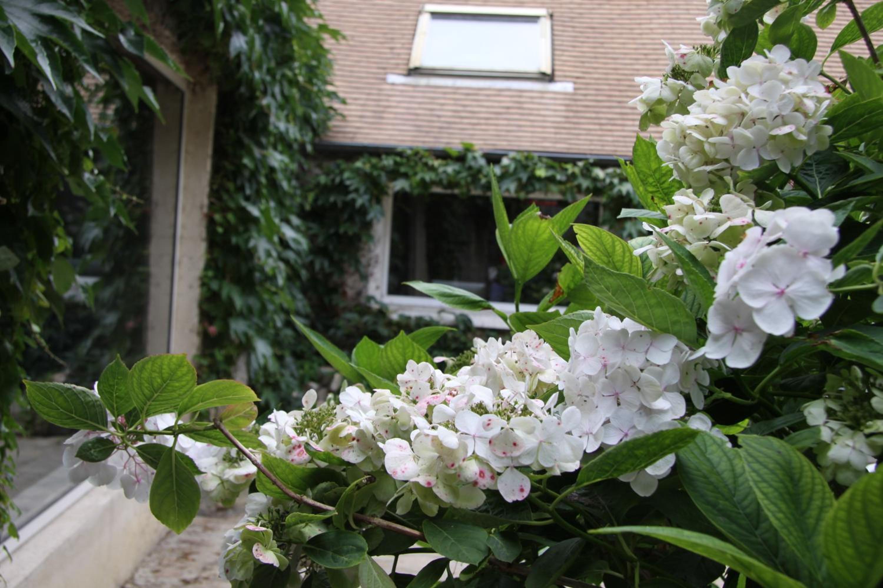 Photo 51