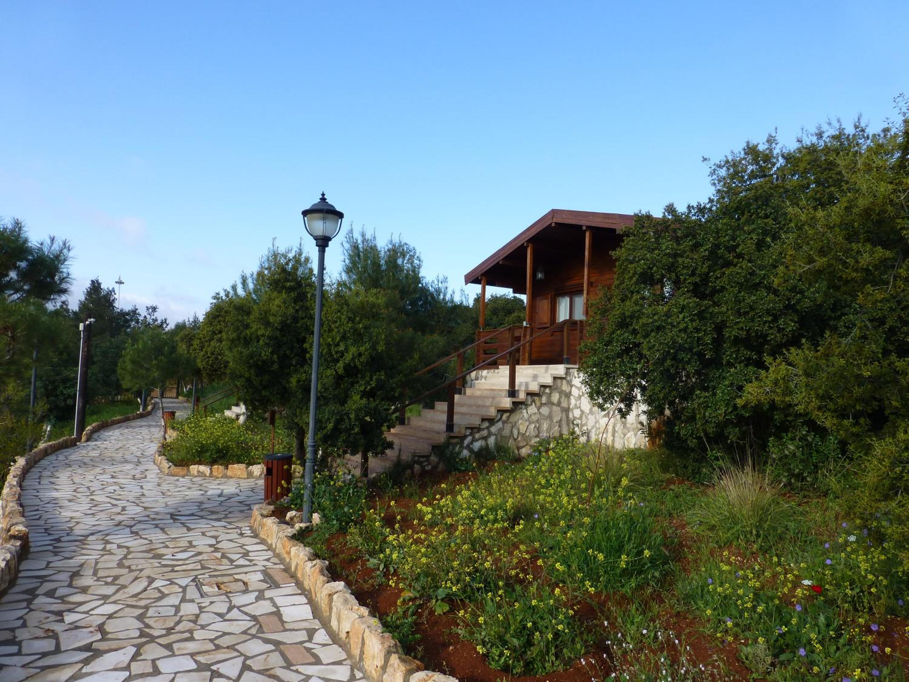 Photo 42