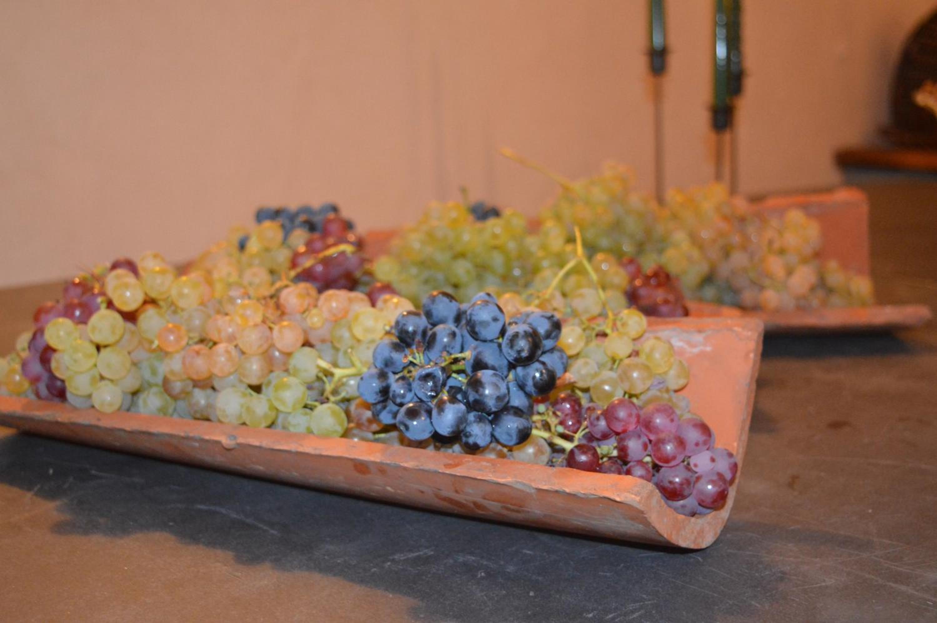 Cascina Formighezzo, Bilde 54
