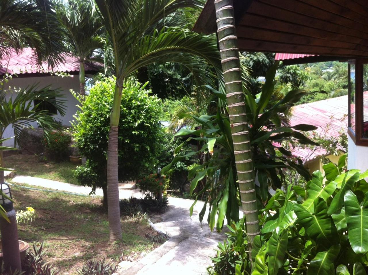 Venus Resort