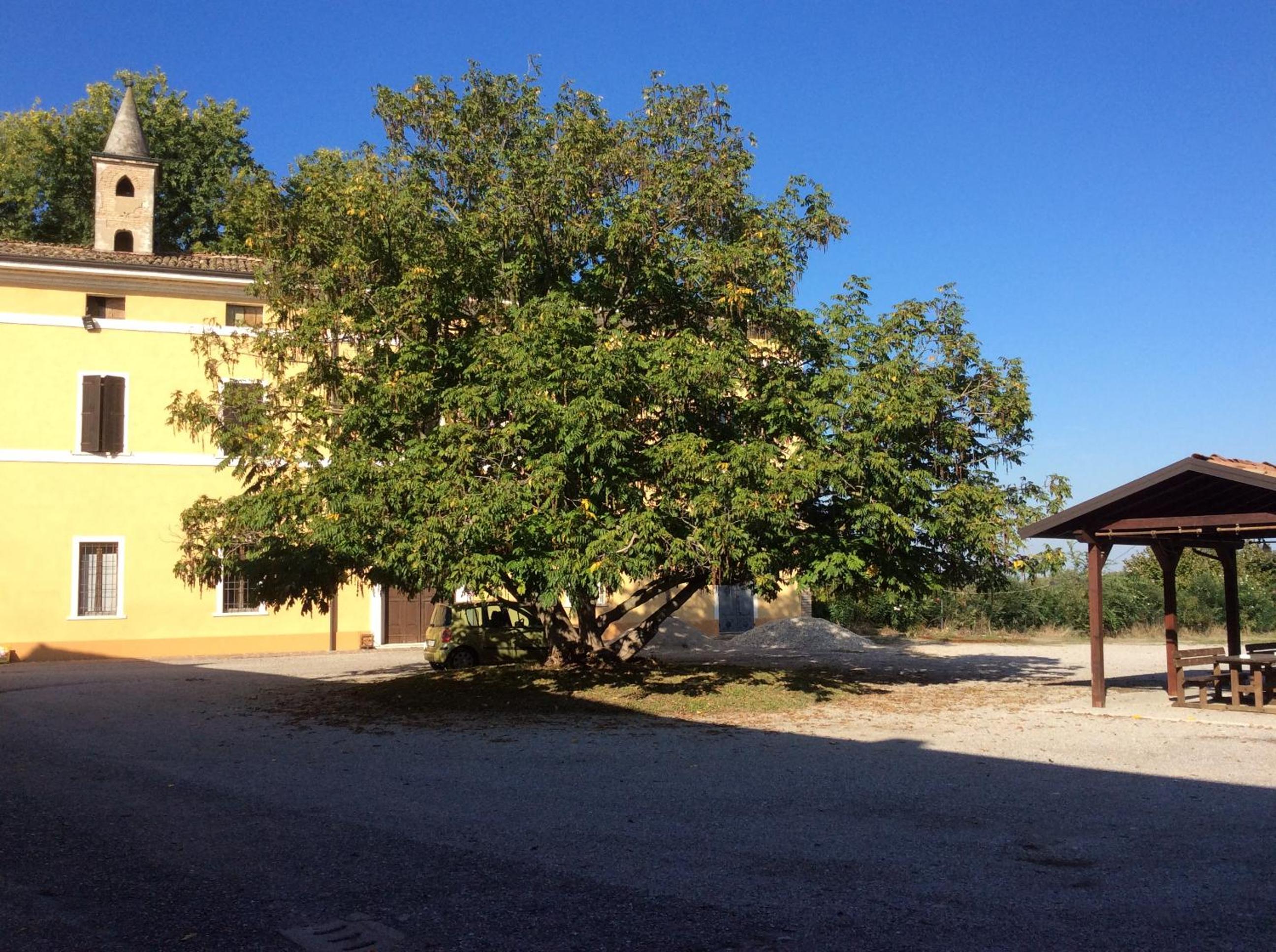Photo 32