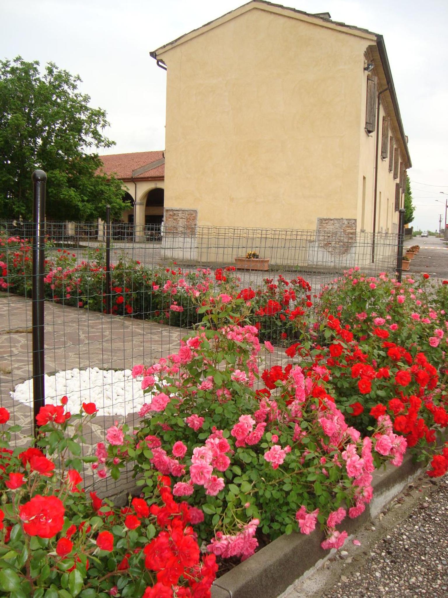 Photo 38