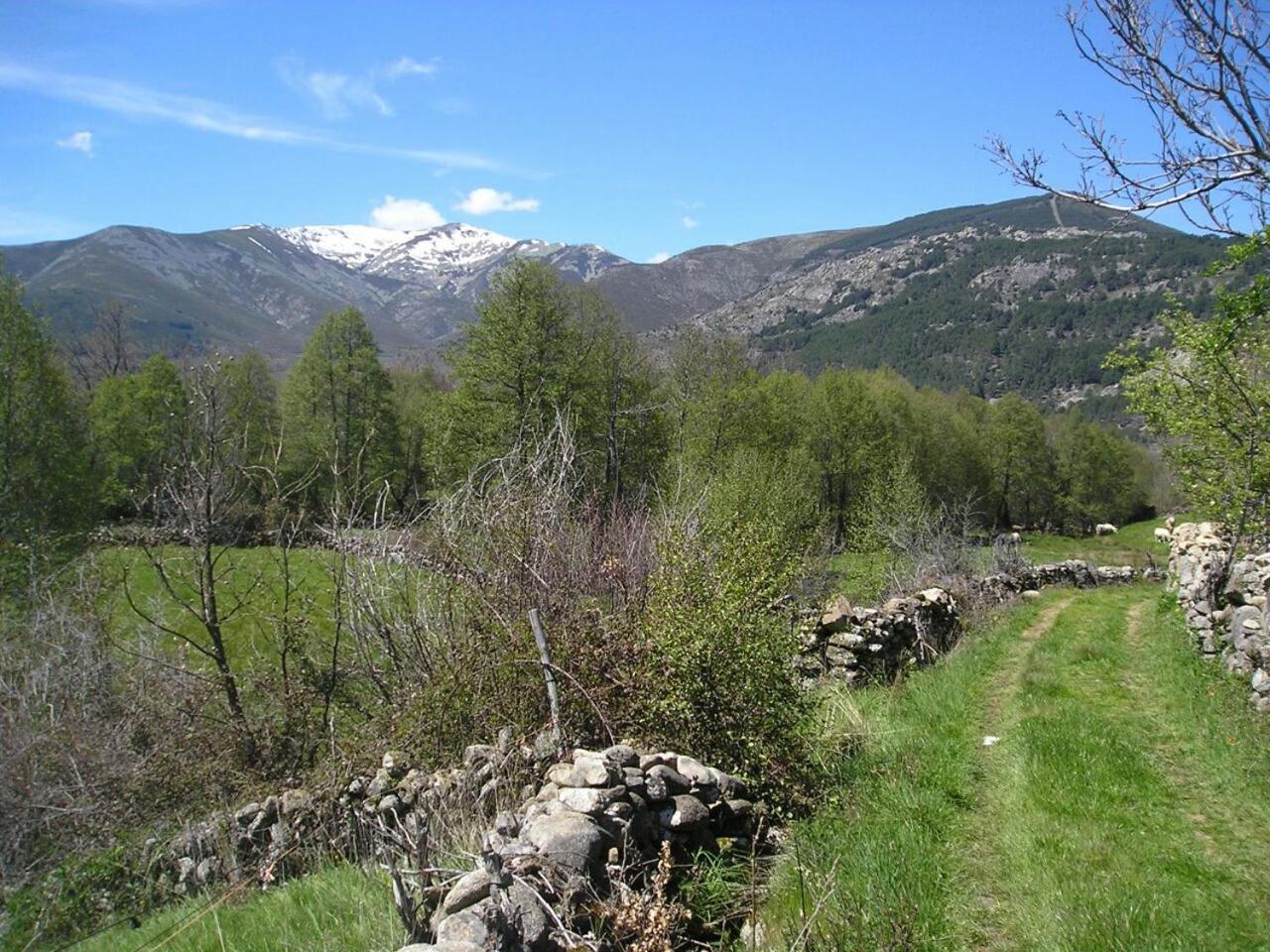 Photo 28