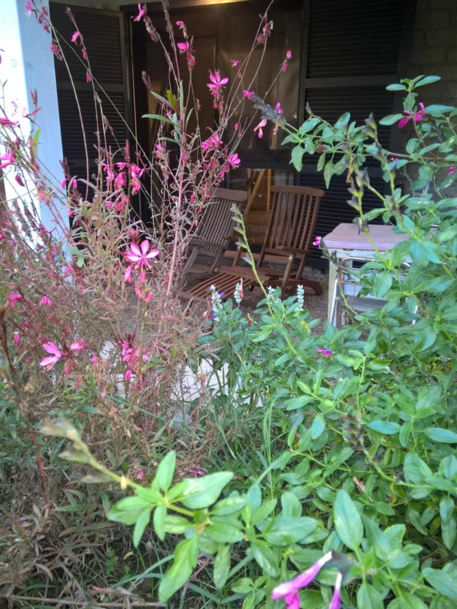 Photo 200