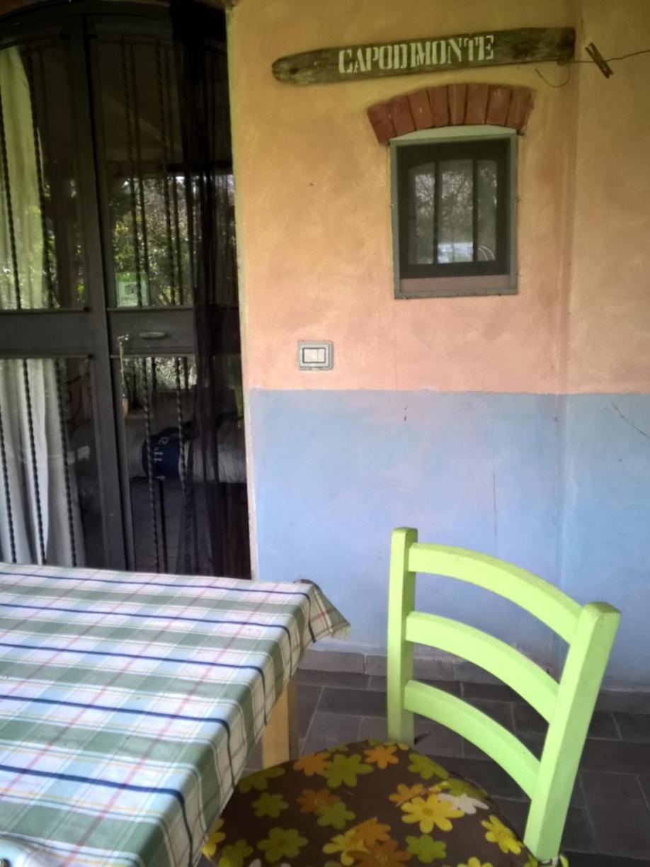 Photo 201