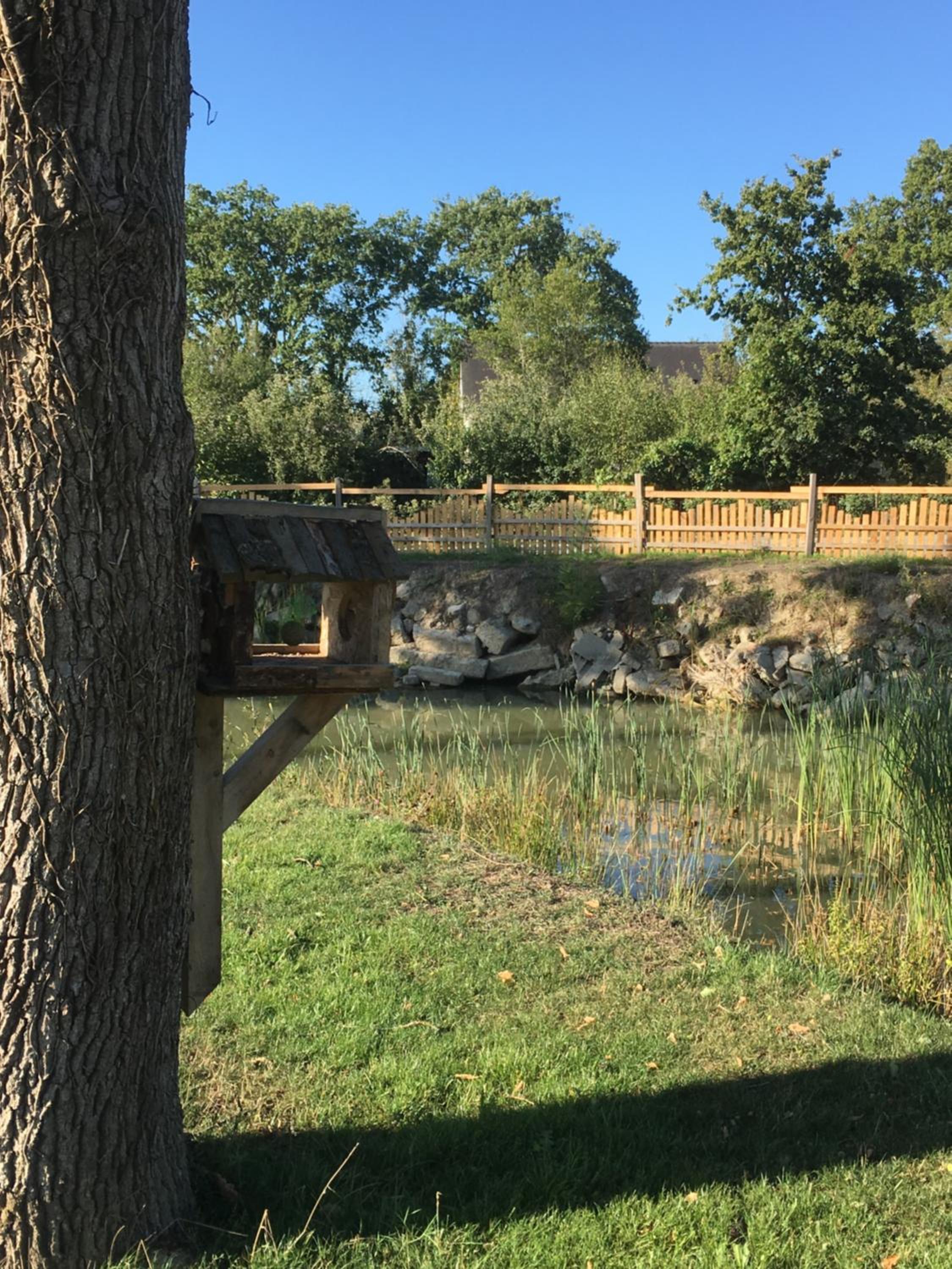 Photo 13