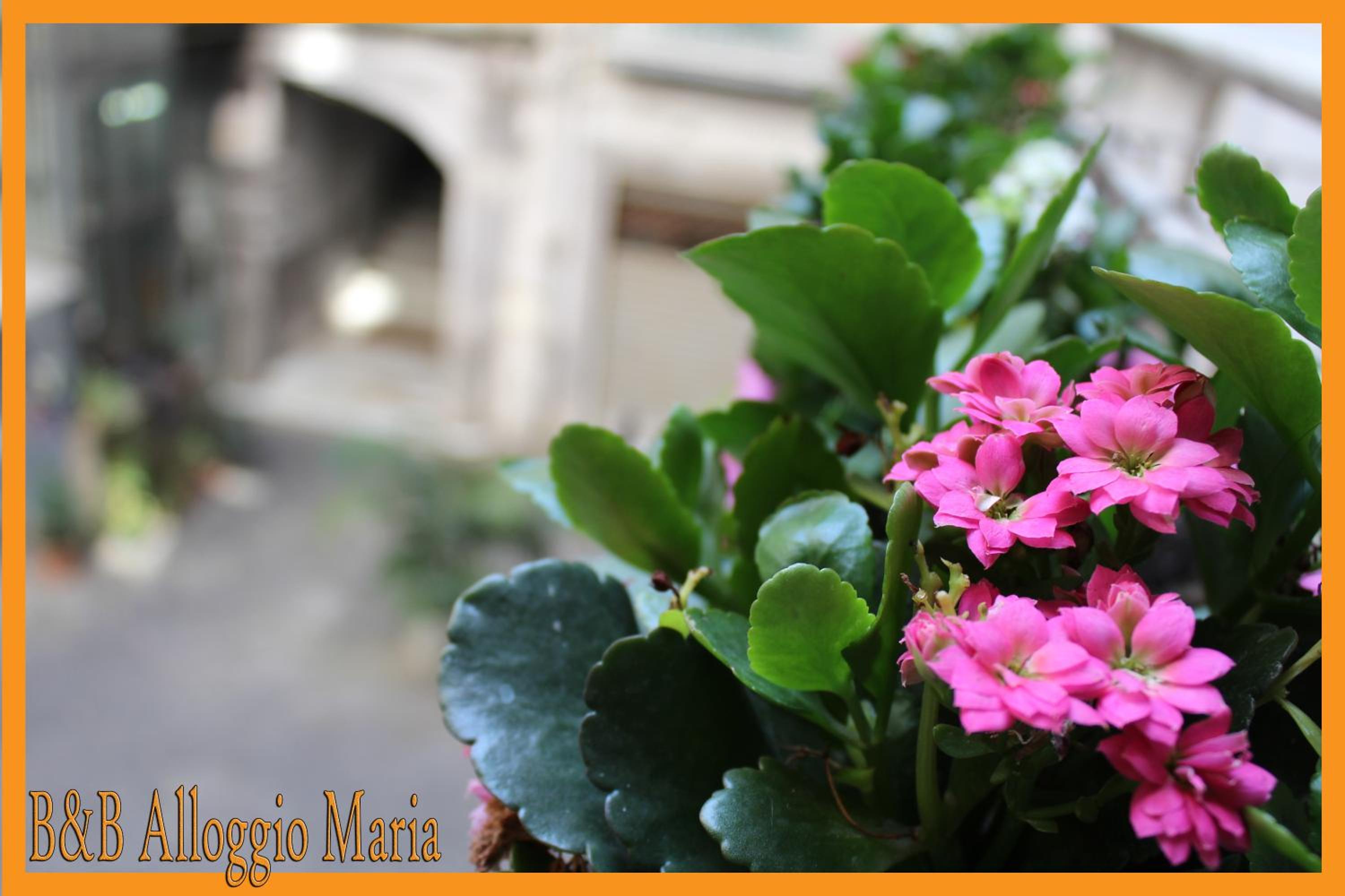 B&B Alloggio Maria
