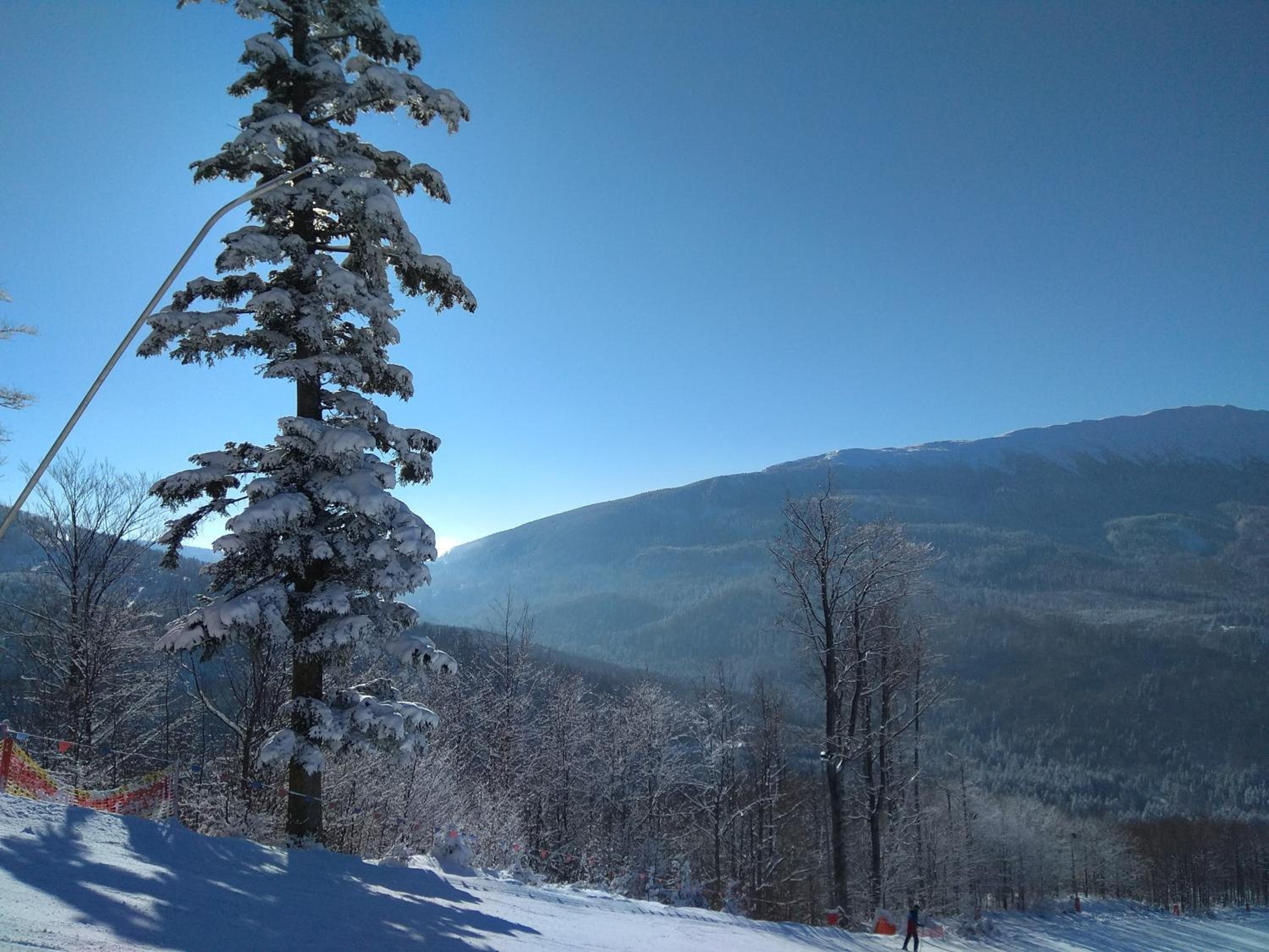 Babia Chata, photo 25