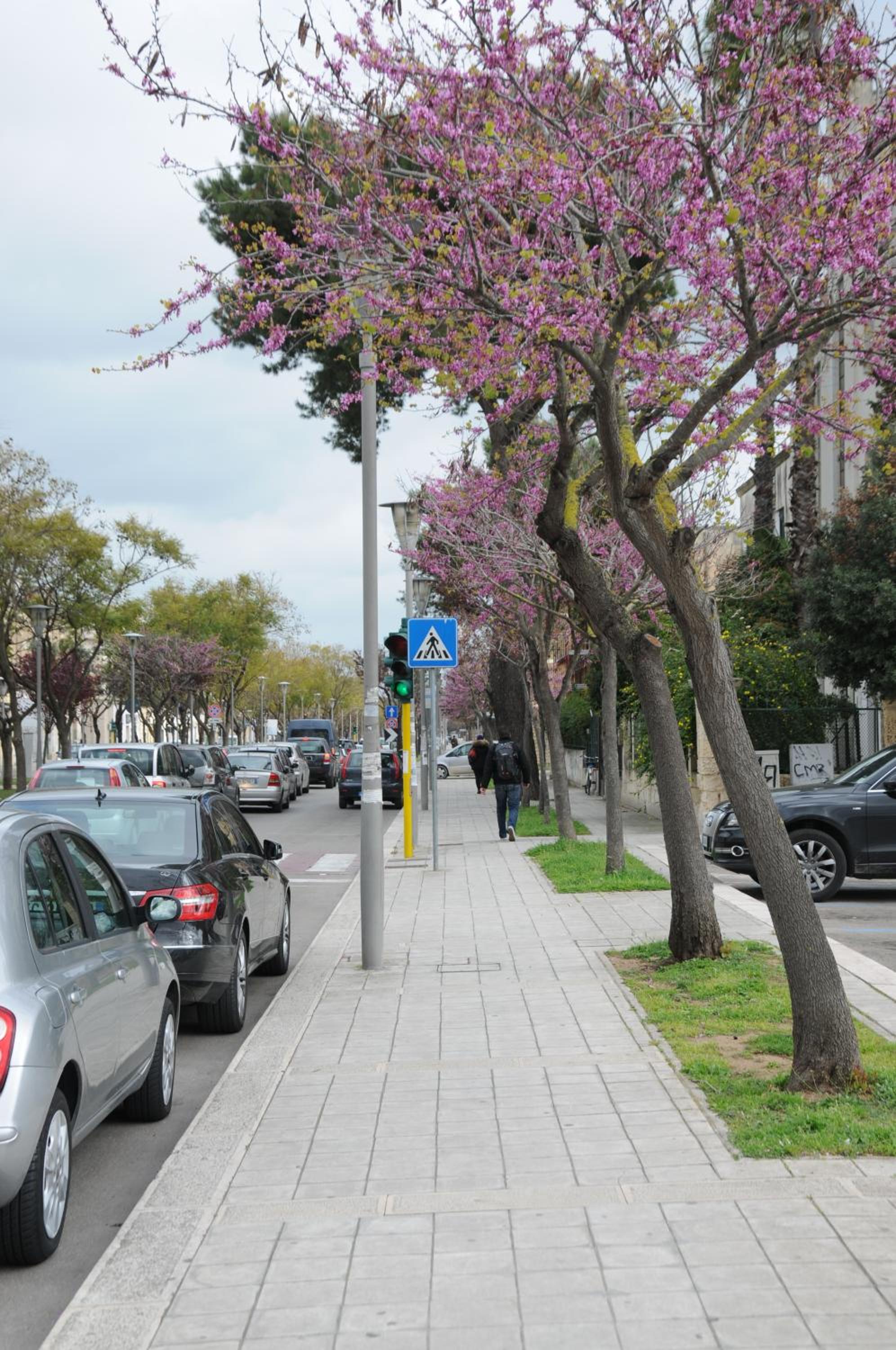 Le Tre Civette