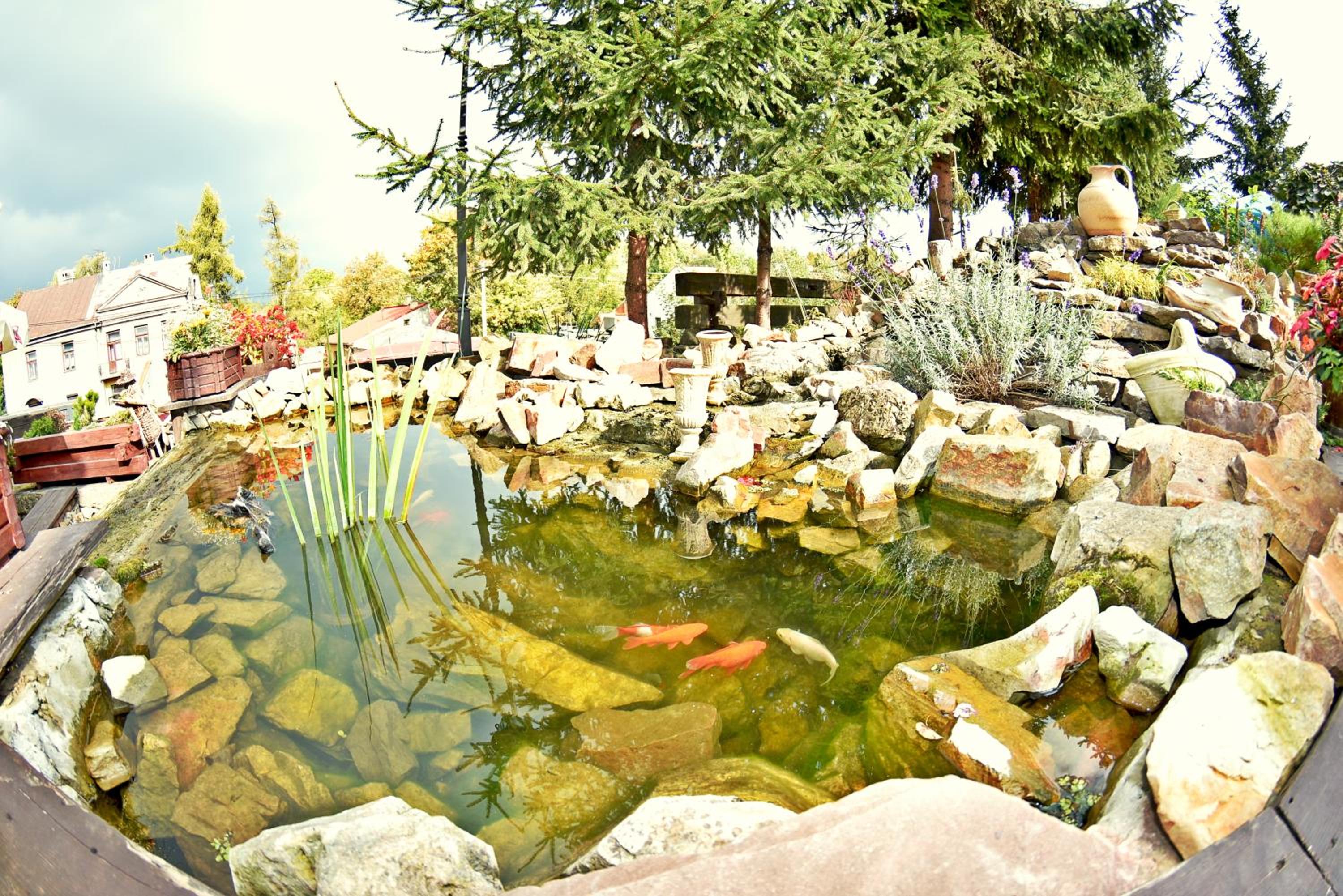 Photo 10