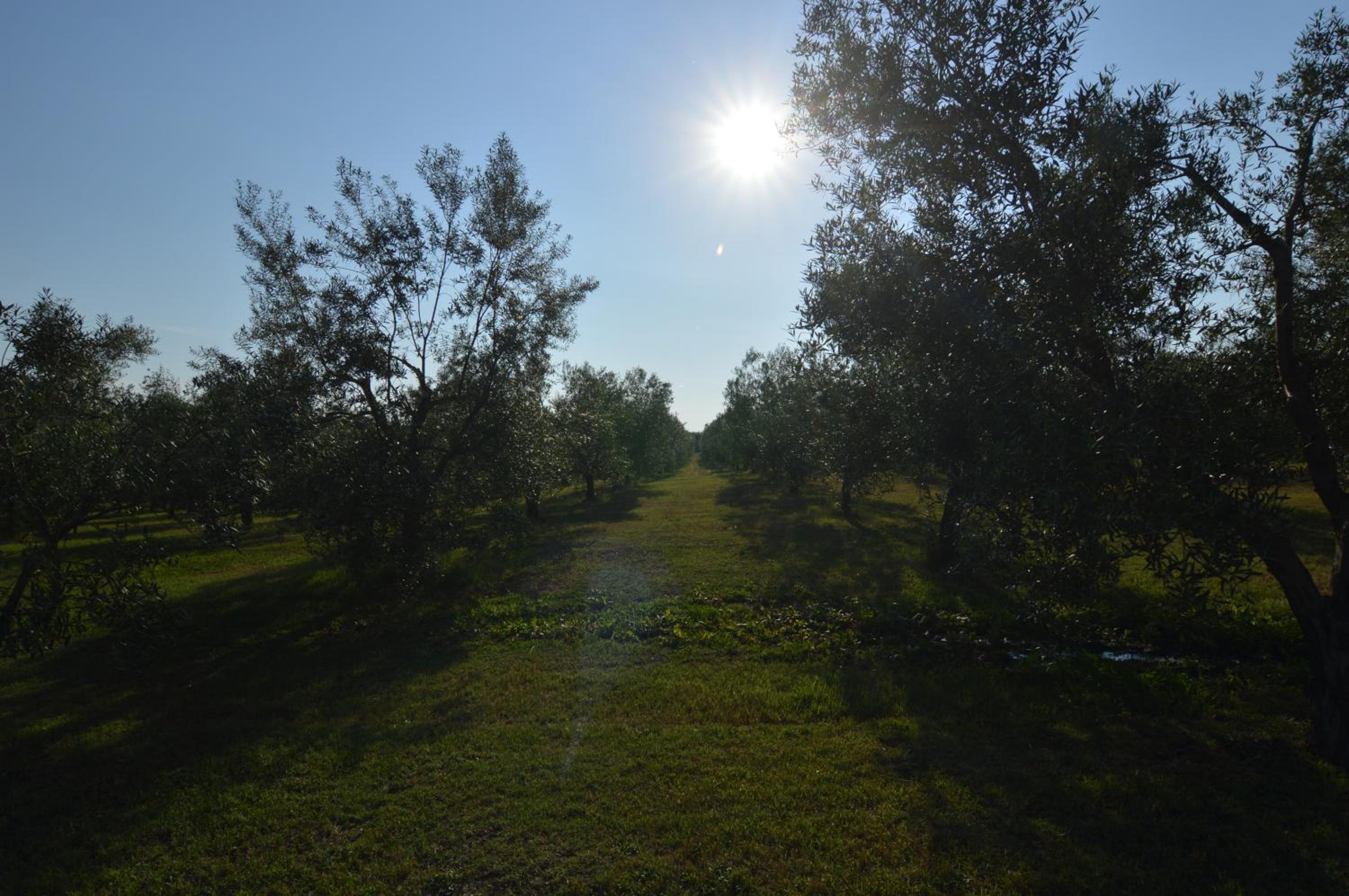 Photo 66
