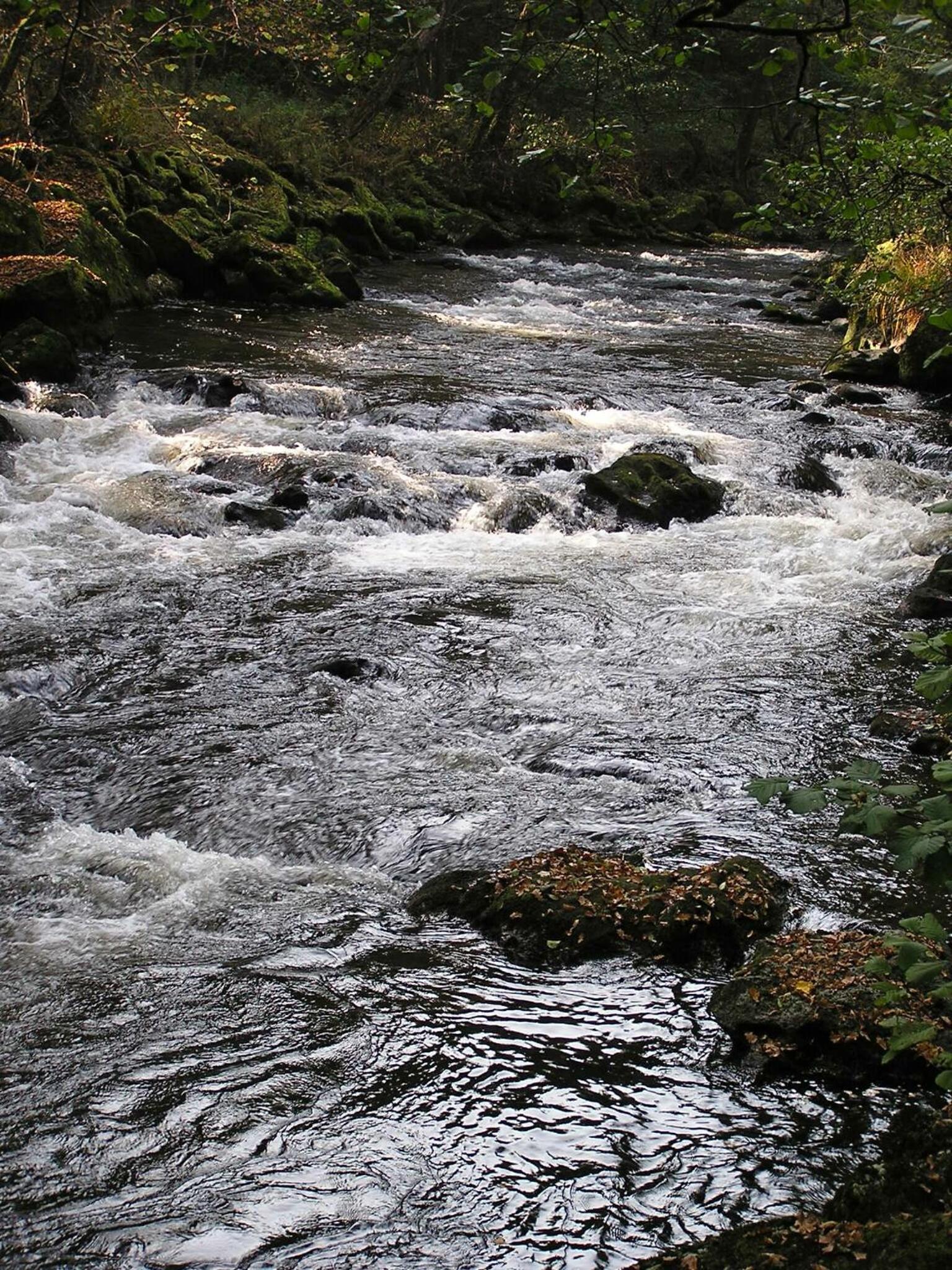 Photo 28