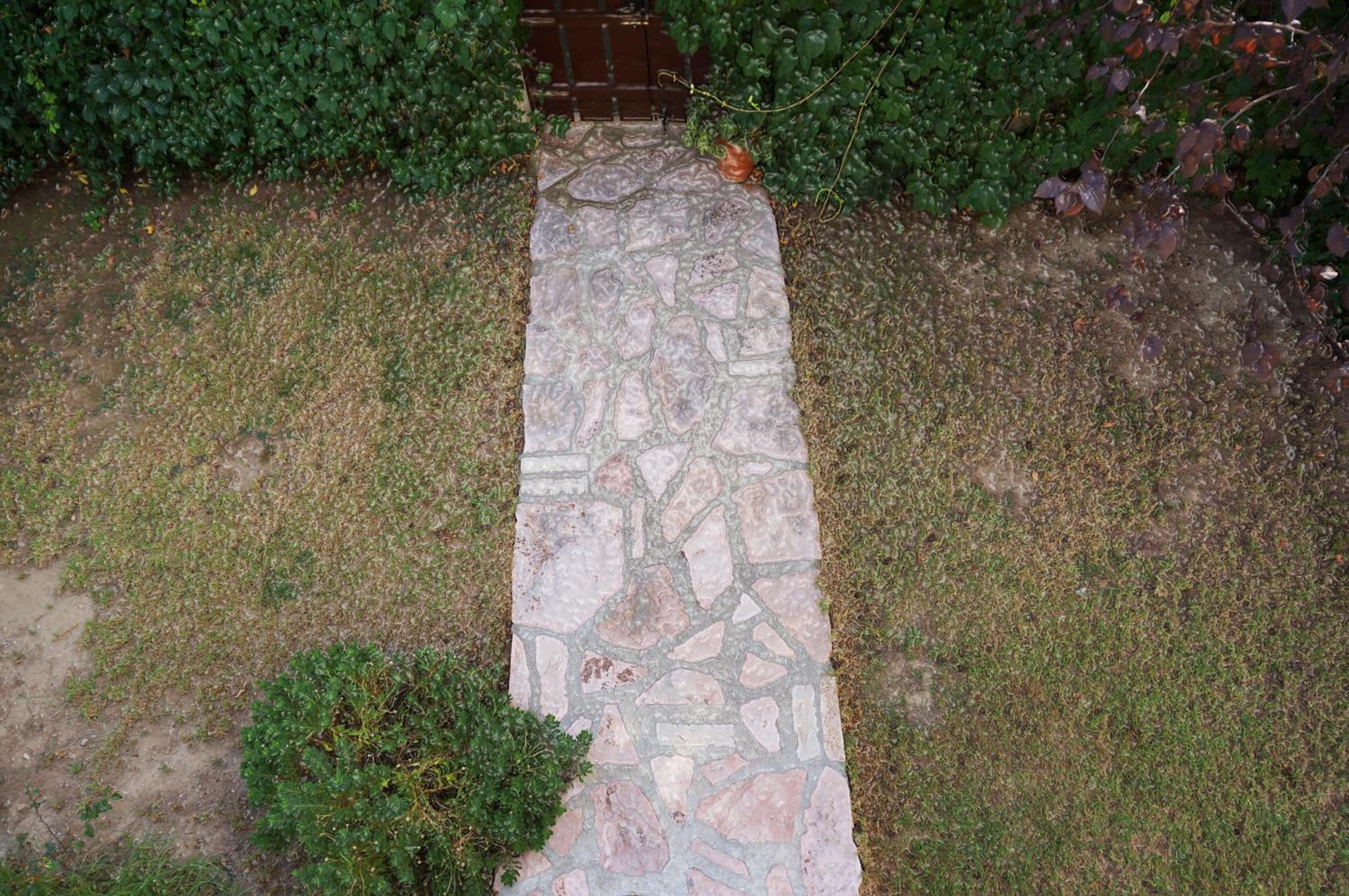 Photo 47
