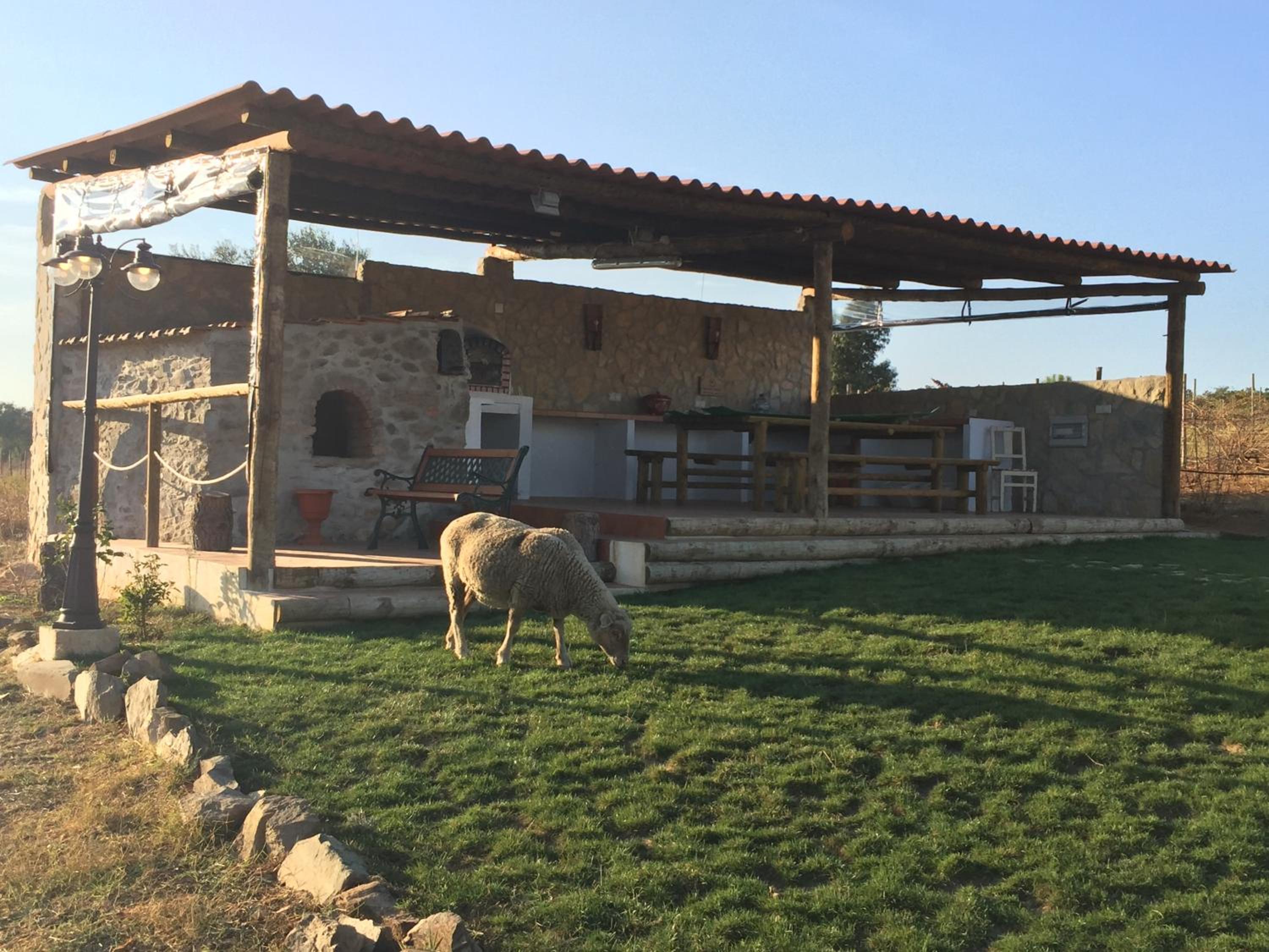 Herdade Alem Santos view 4