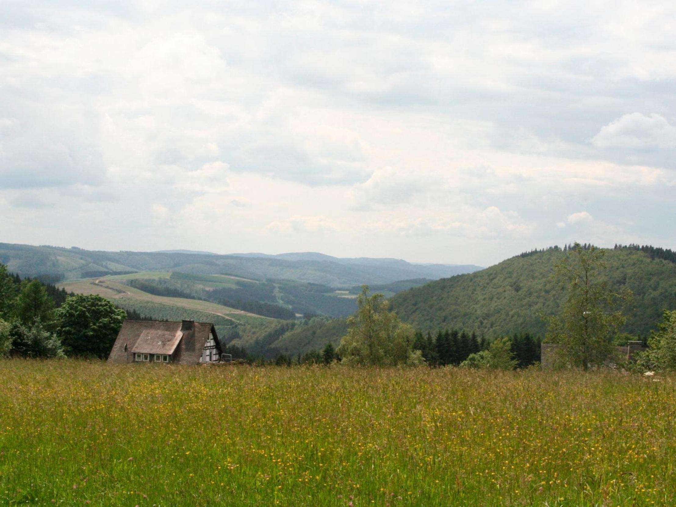 Photo 29