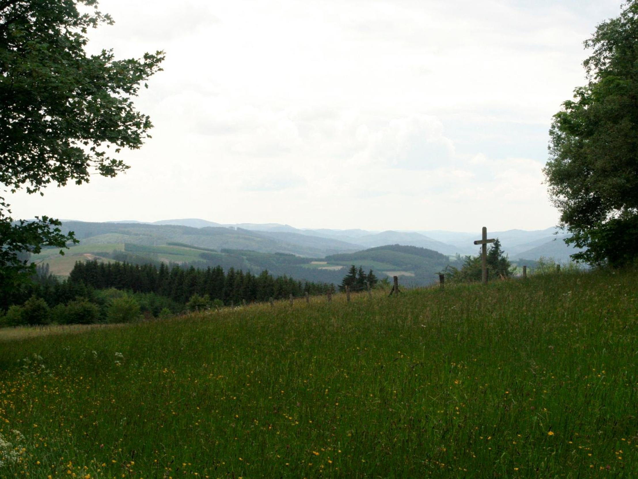 Photo 30