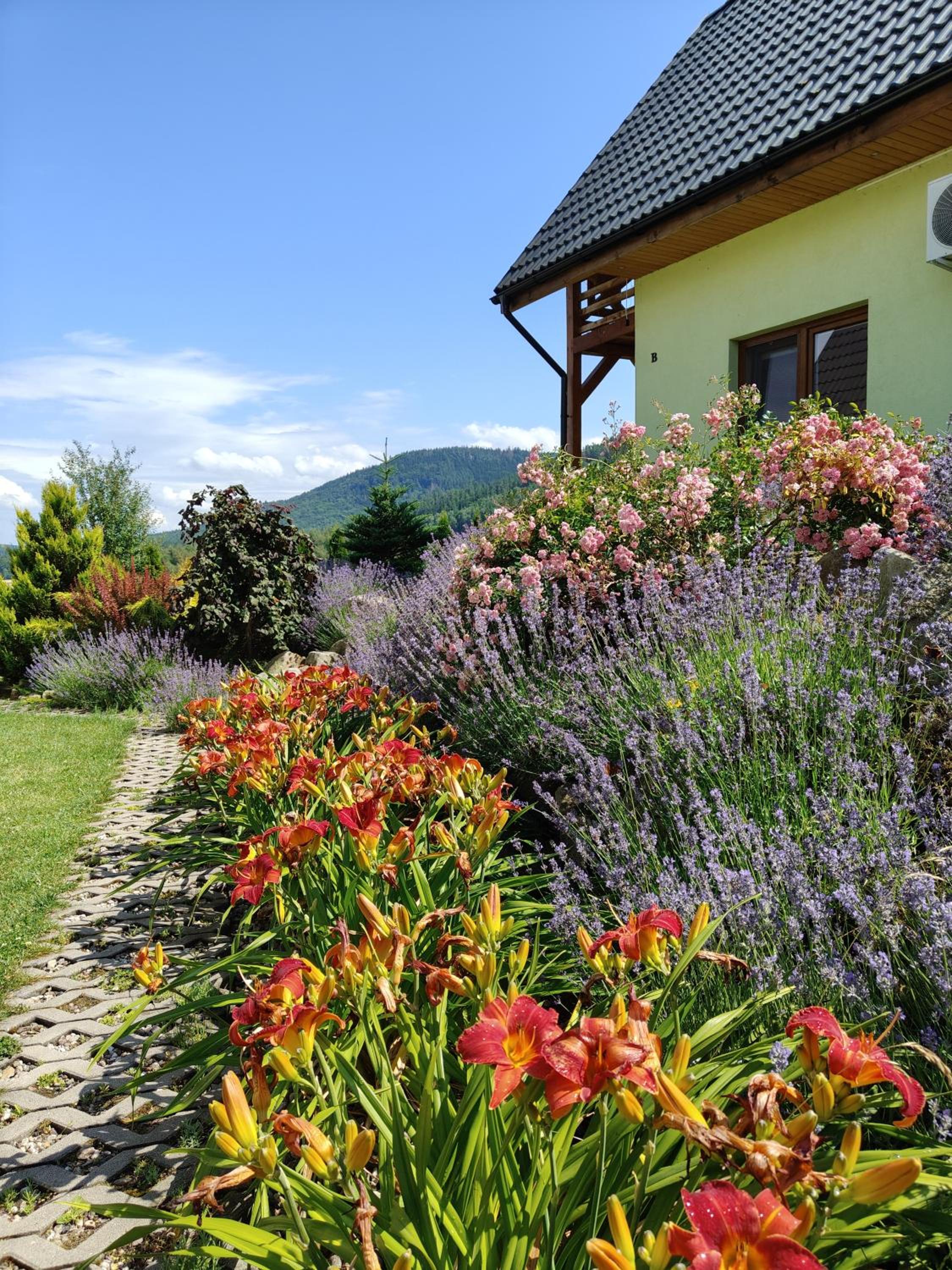 Photo 47