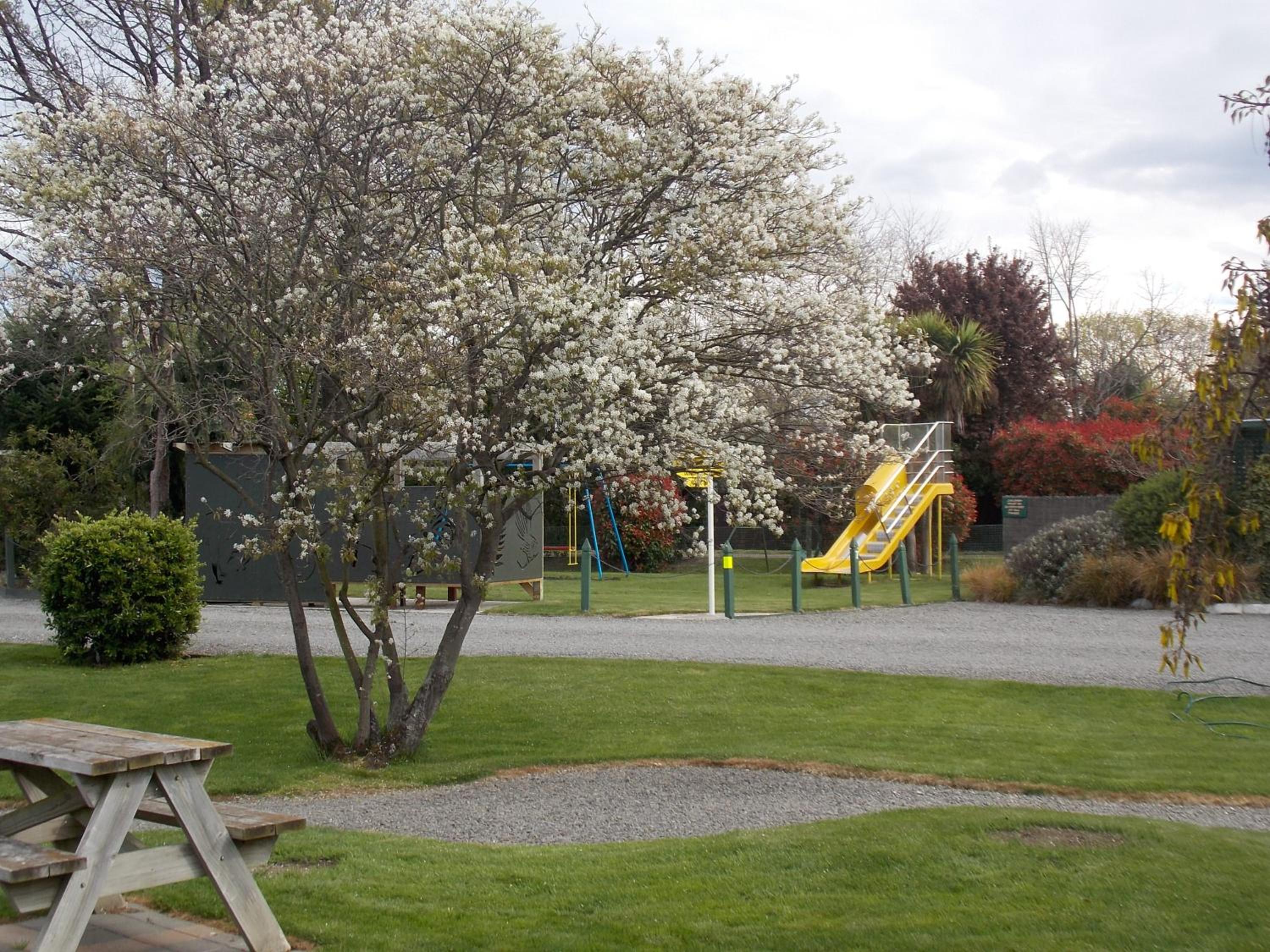 Rangiora Lodge Motel