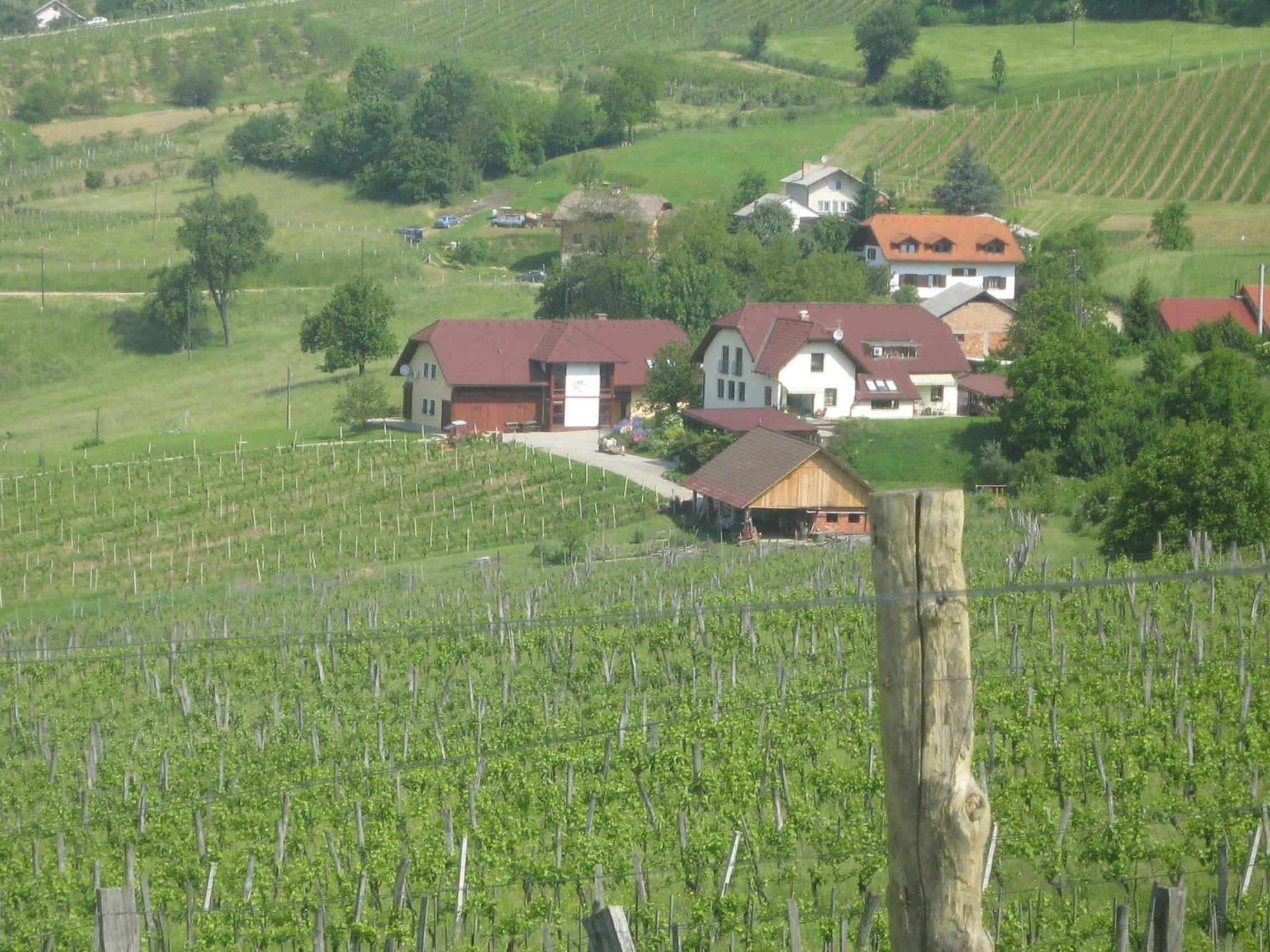 Tourist Farm Joannes view 2