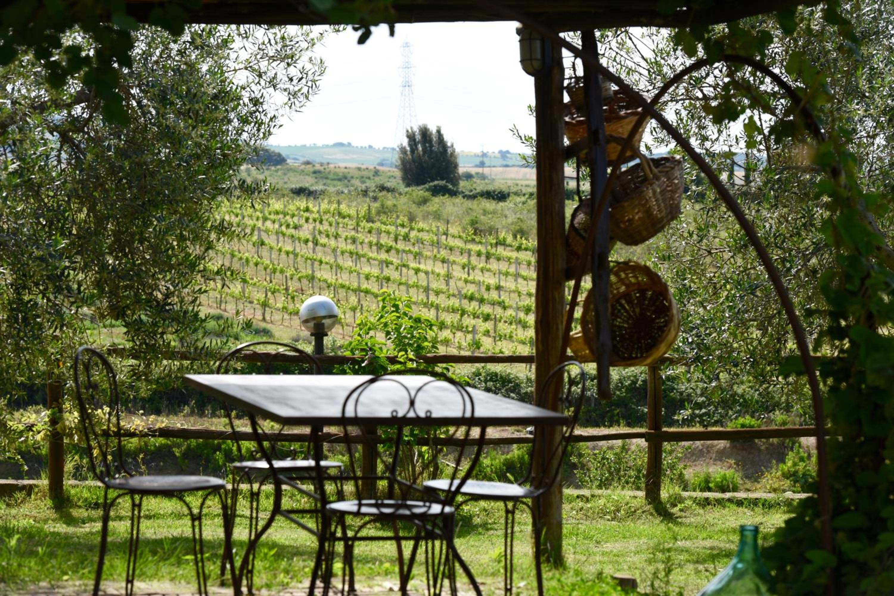 Agriturismo La Svolta