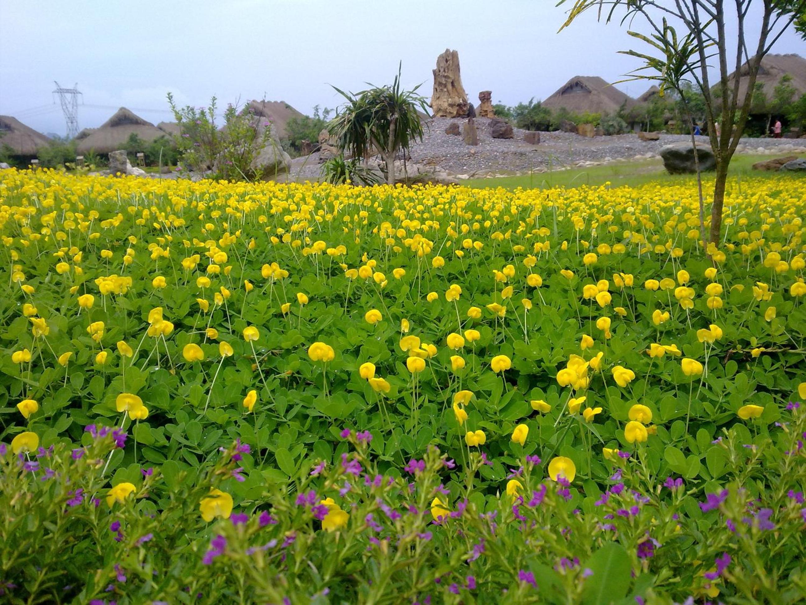 Cuc Phuong Mineral Resort Ninh Binh