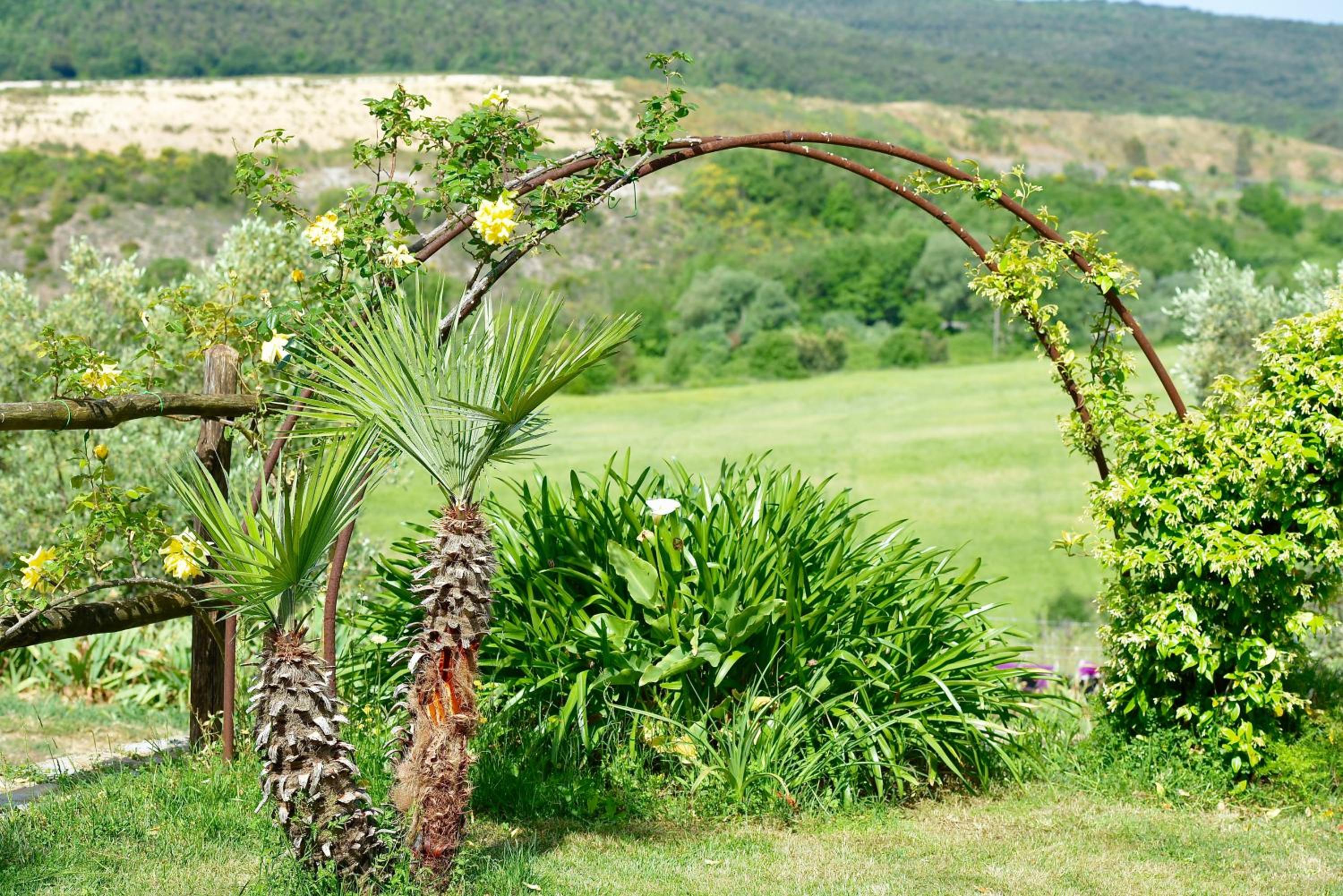 Agriturismo La Svolta