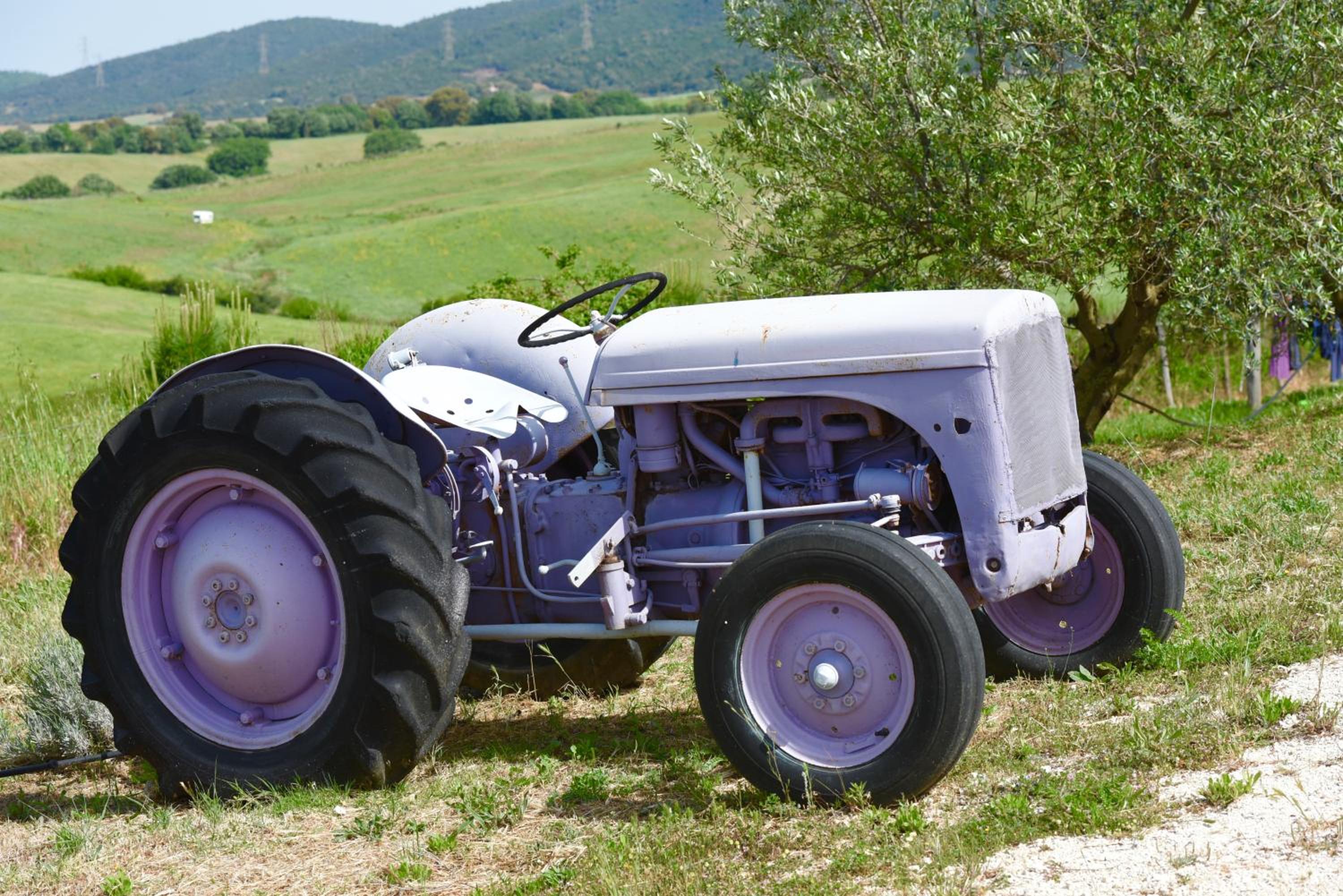 Agriturismo La Svolta