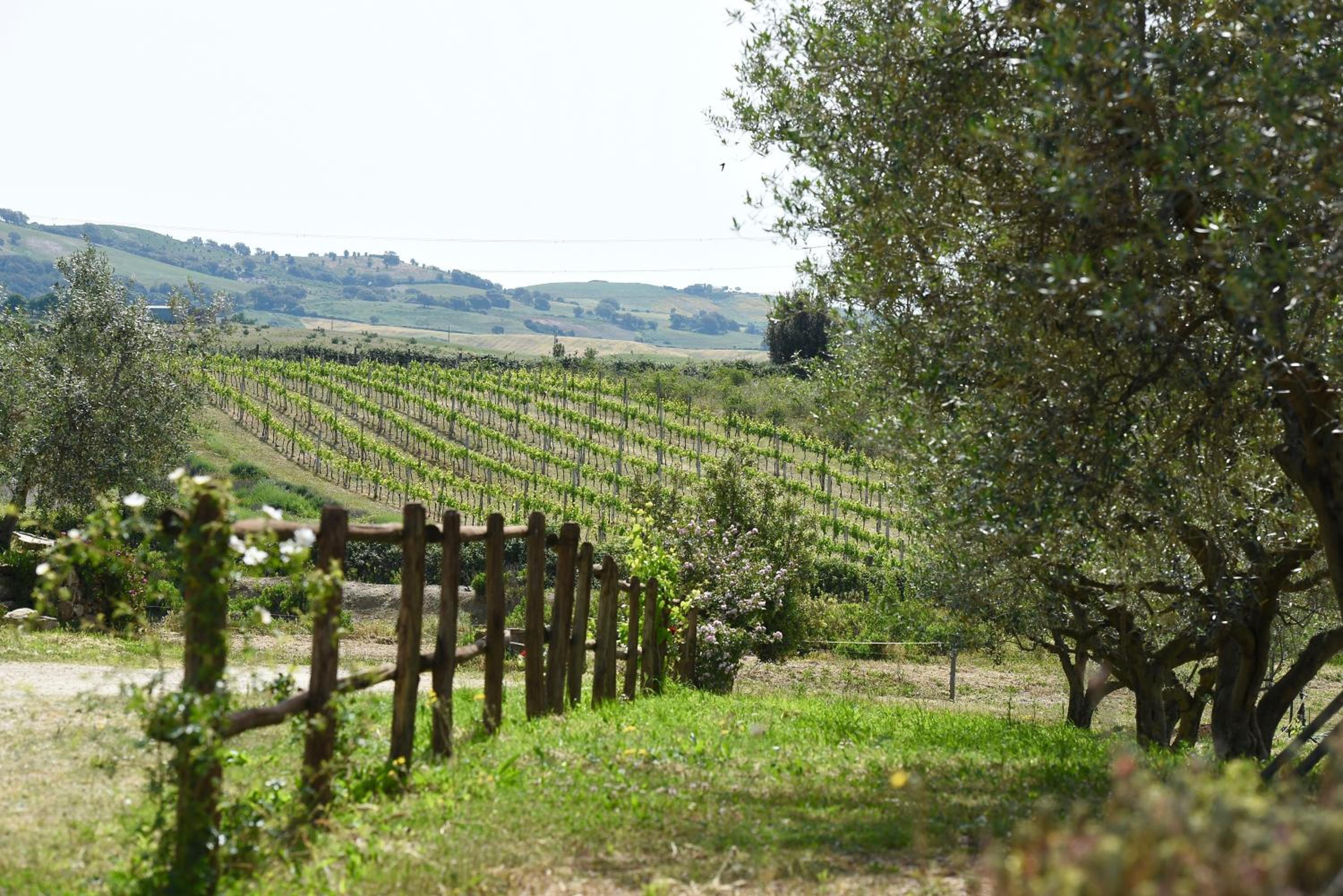 Agriturismo La Svolta