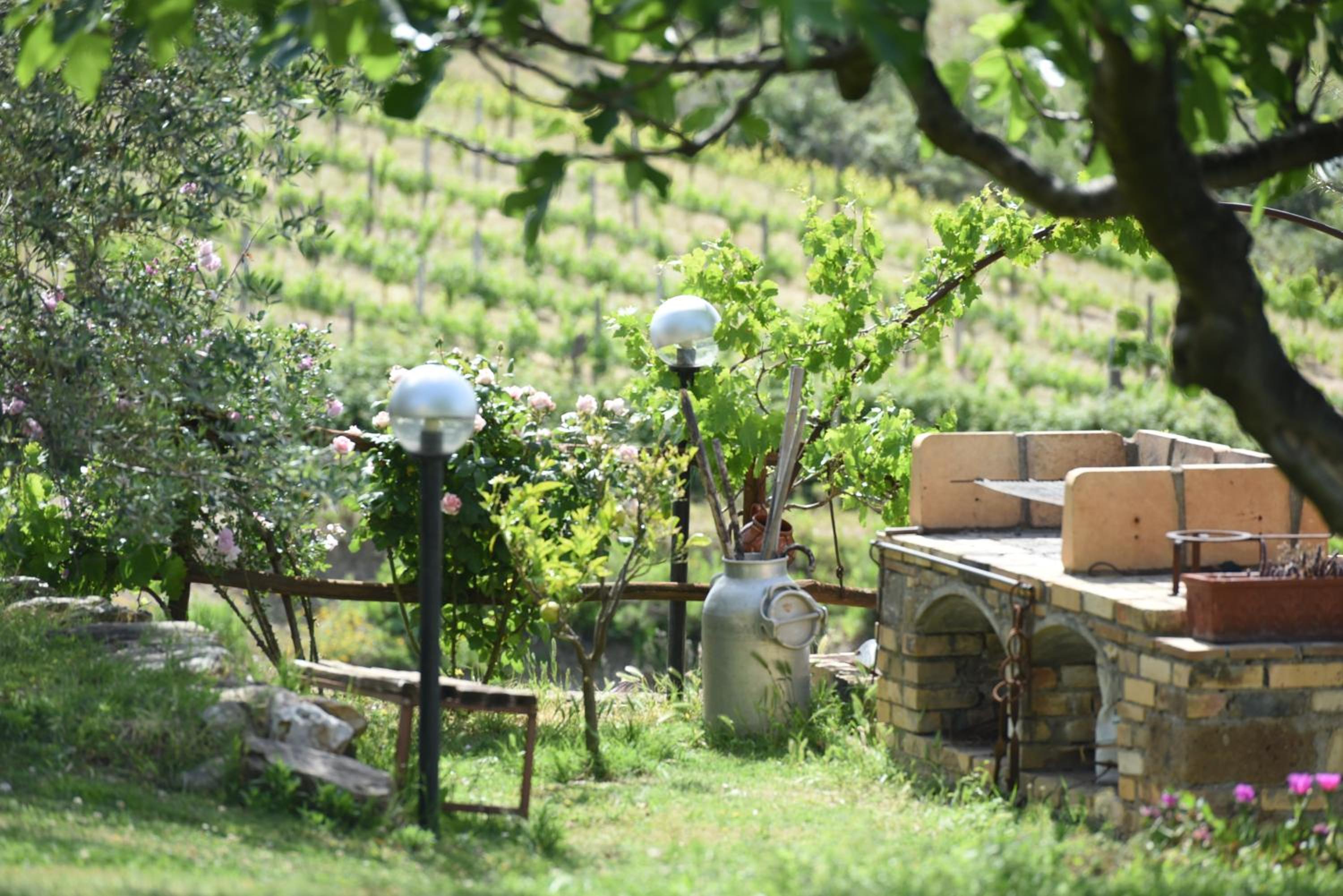 Agriturismo La Svolta