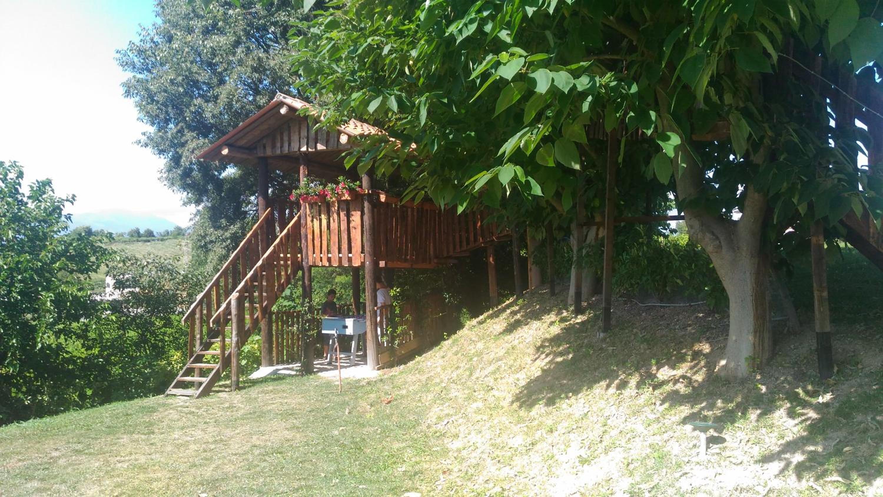 Photo 47