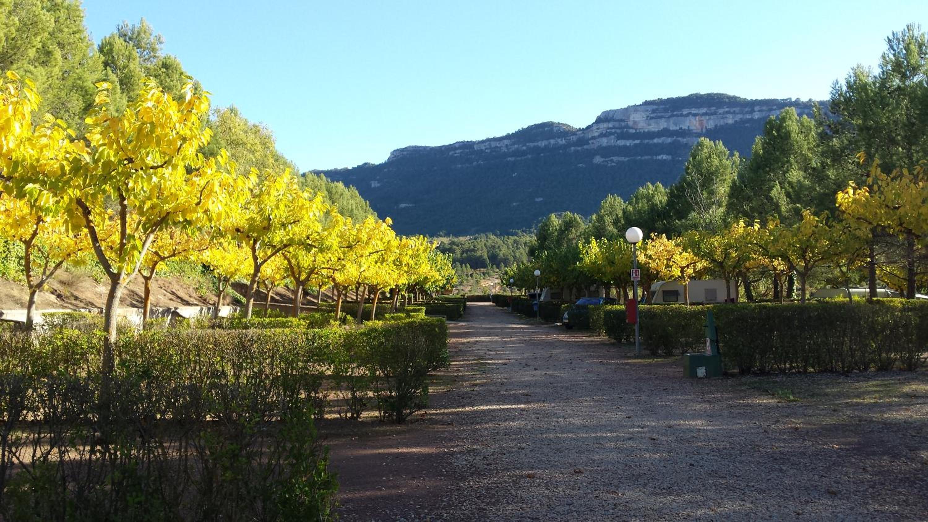 Montsant Park Camping & Bungalow view 3