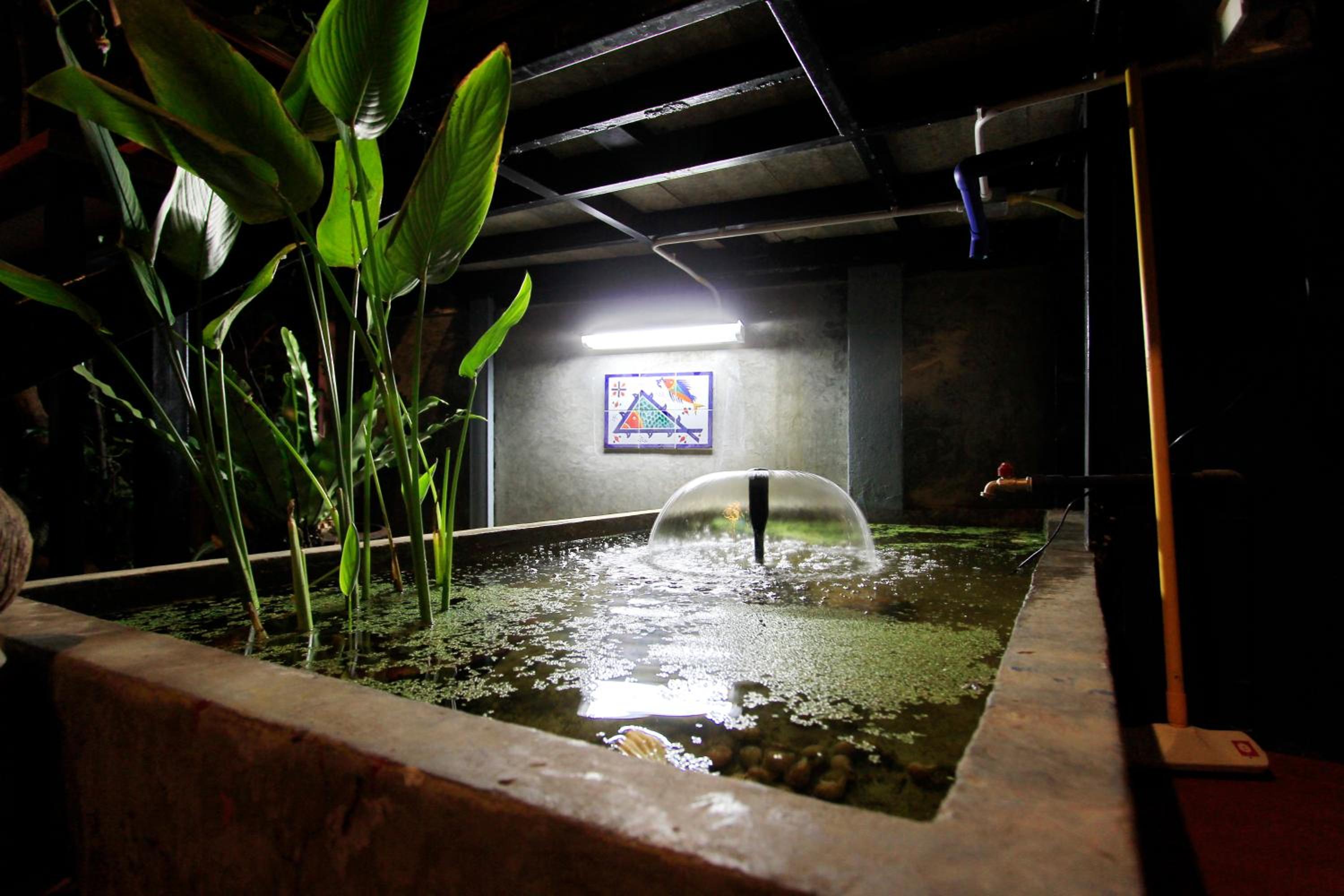 Photo 25