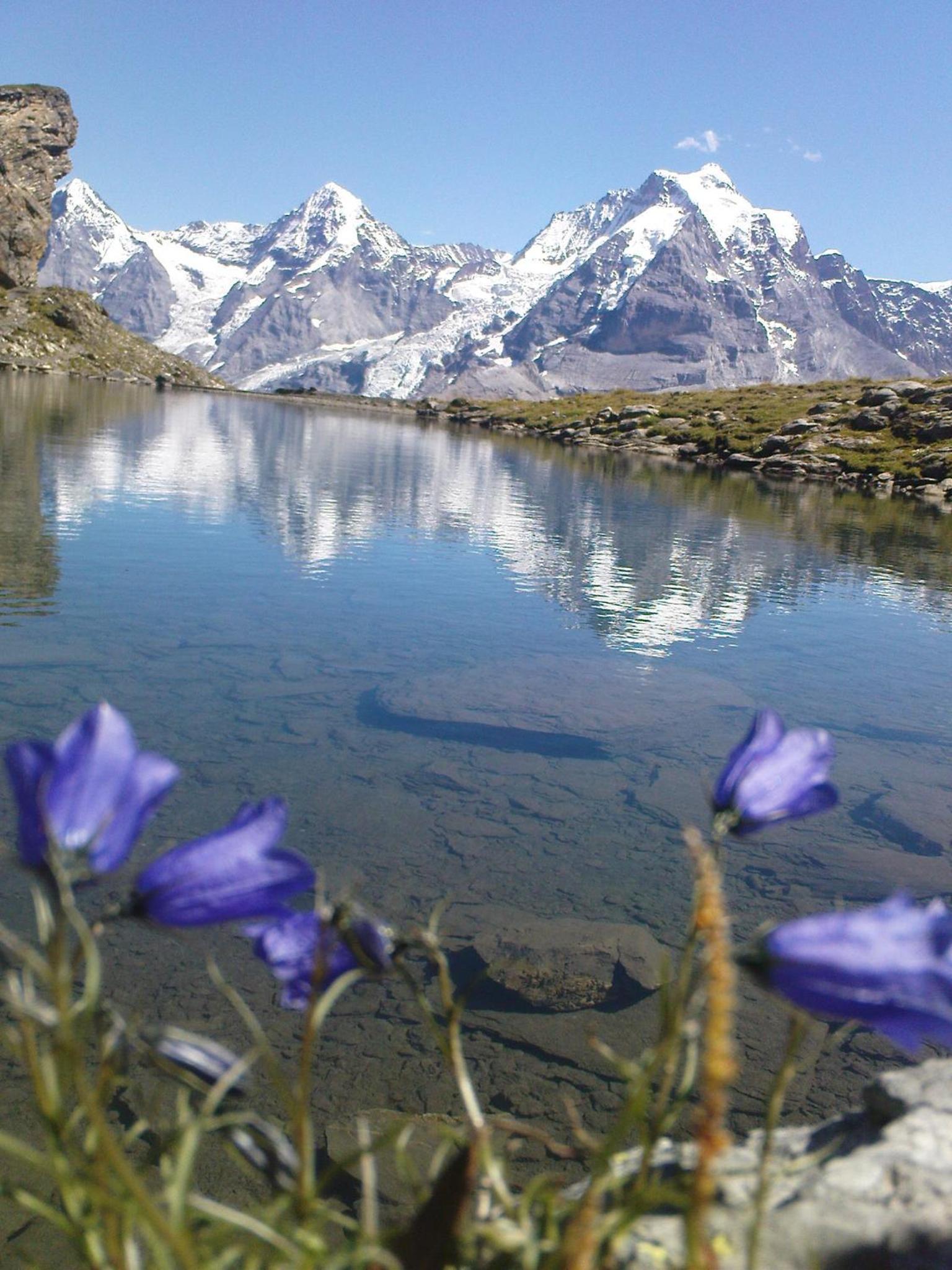 Pension Gimmelwald