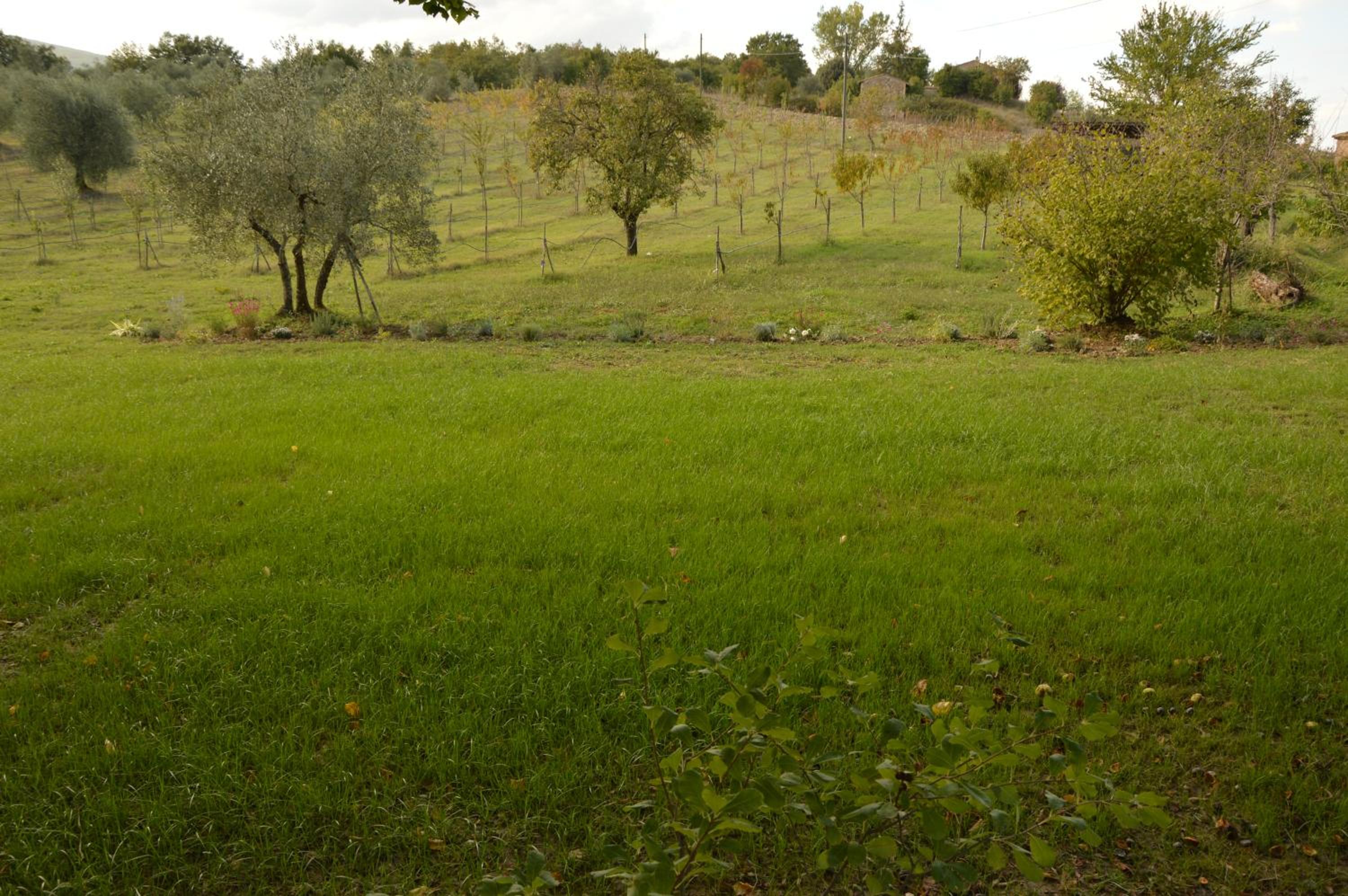 Agriturismo Riparossa