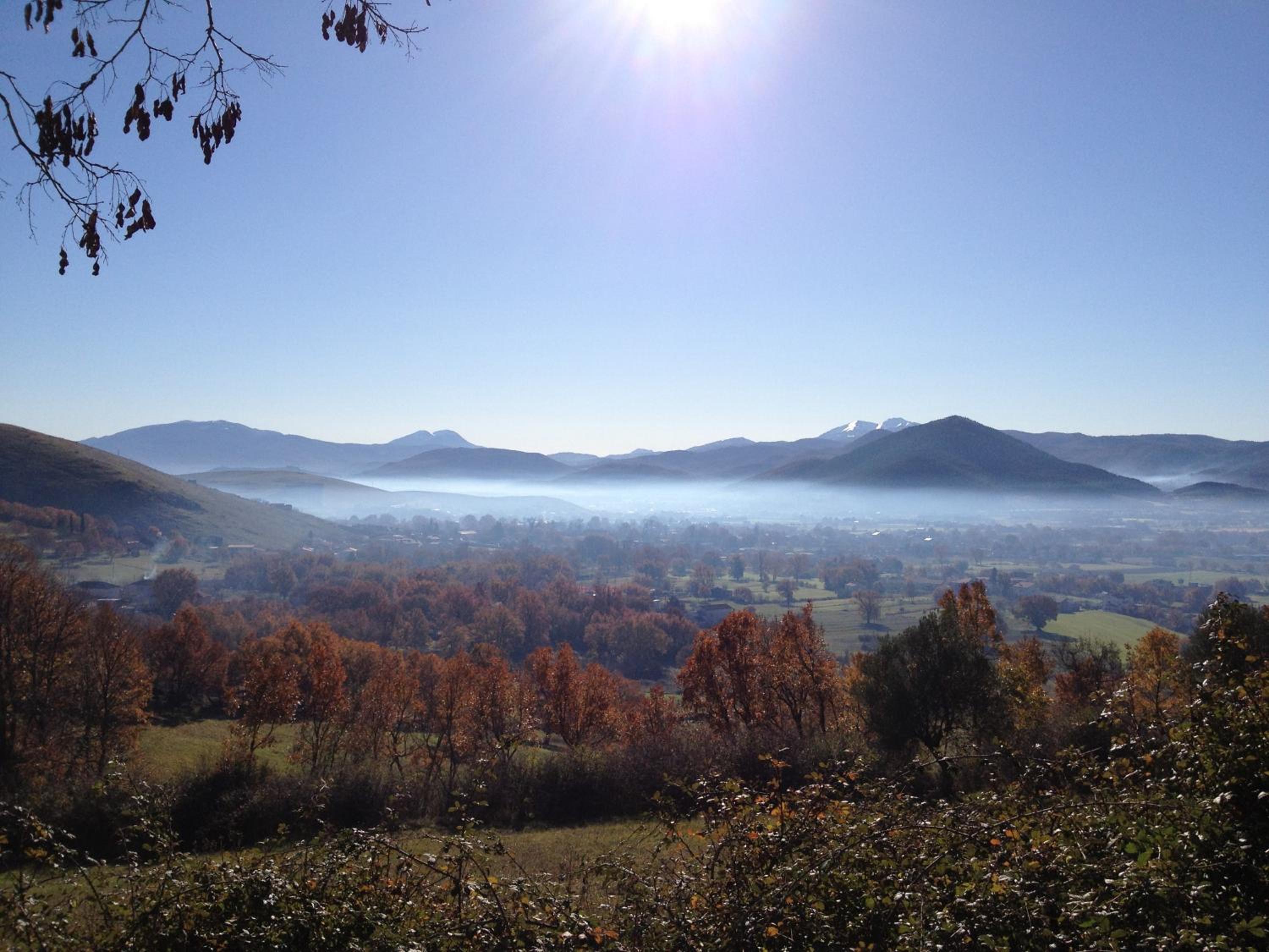 Azienda Agricola Il Querceto
