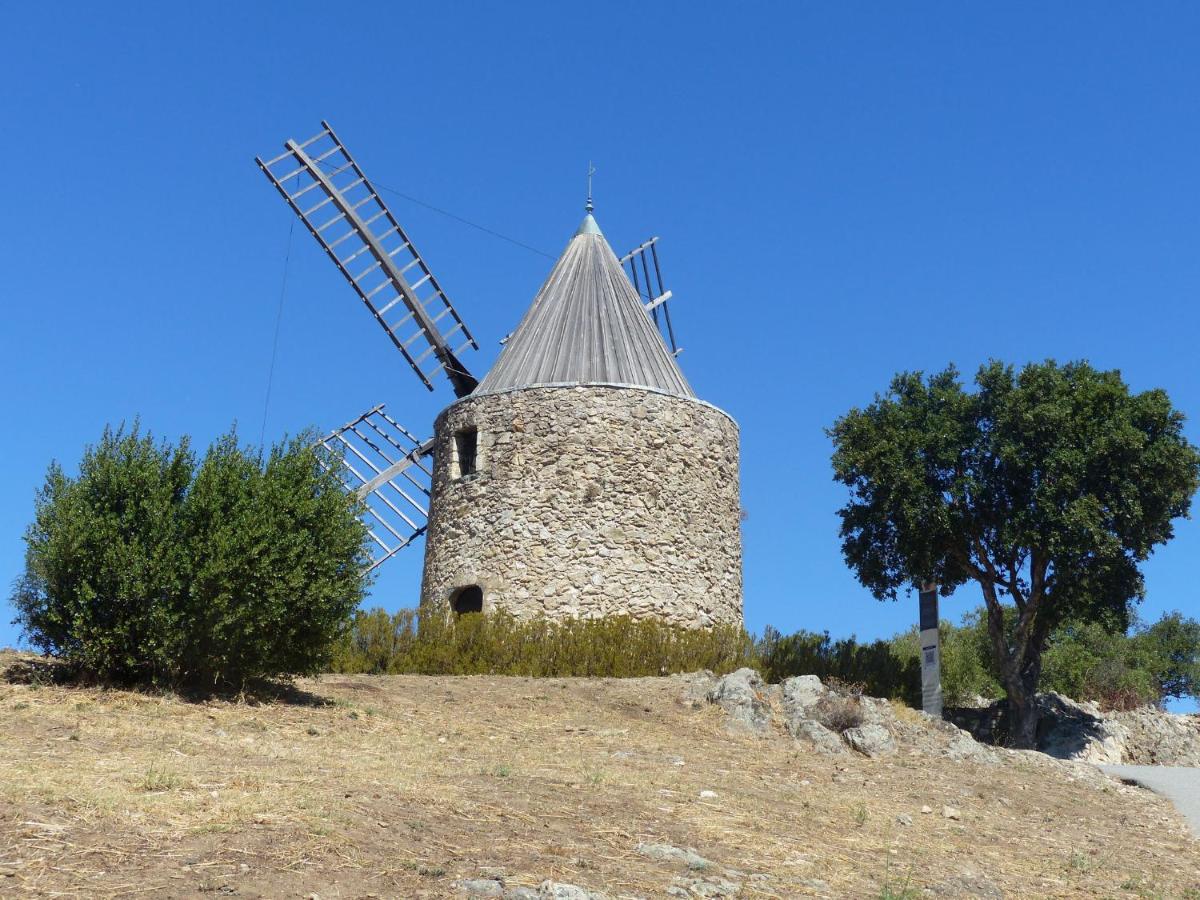 Photo 23