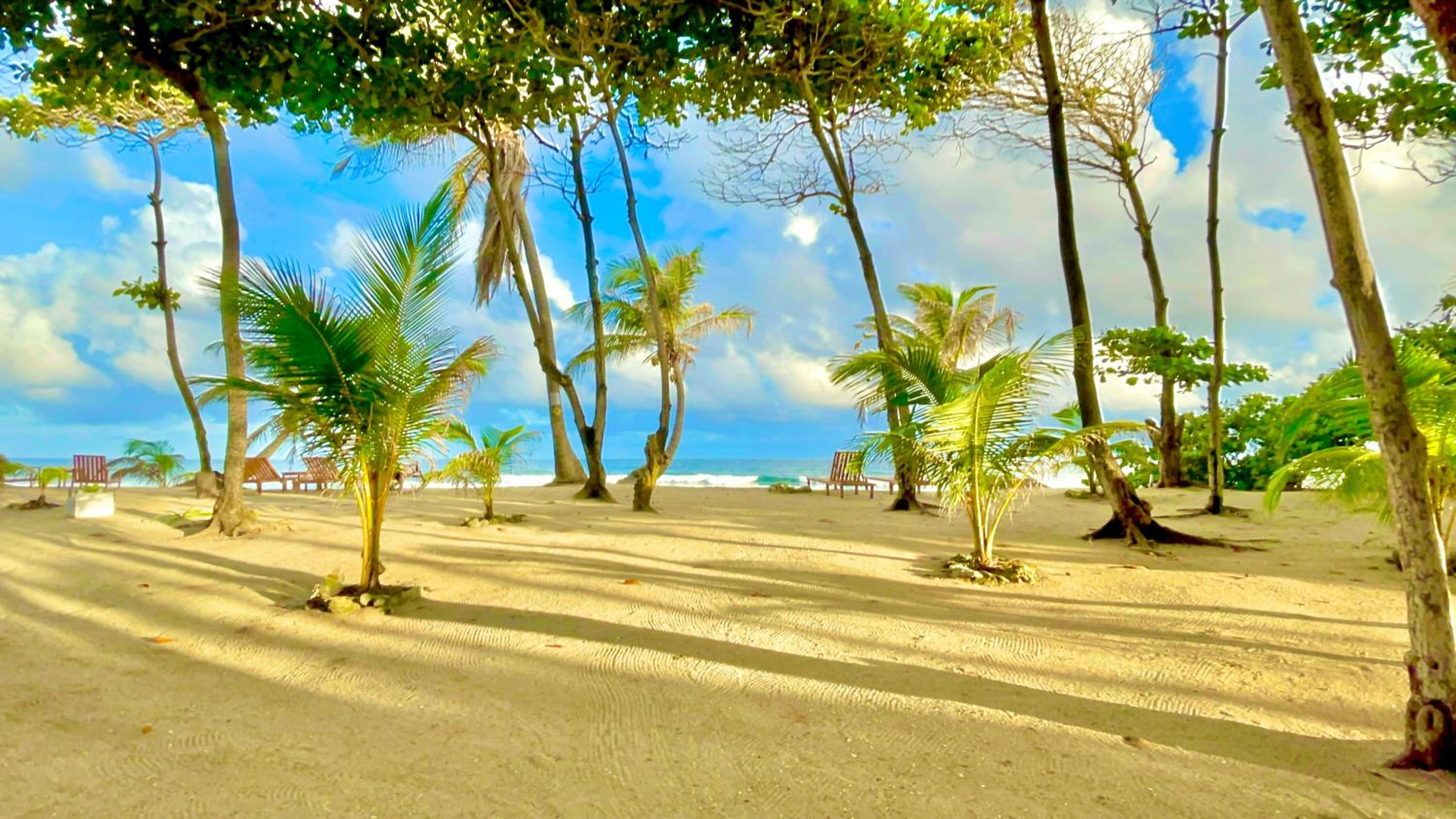 Turtle Beach Sanctuary, Utila