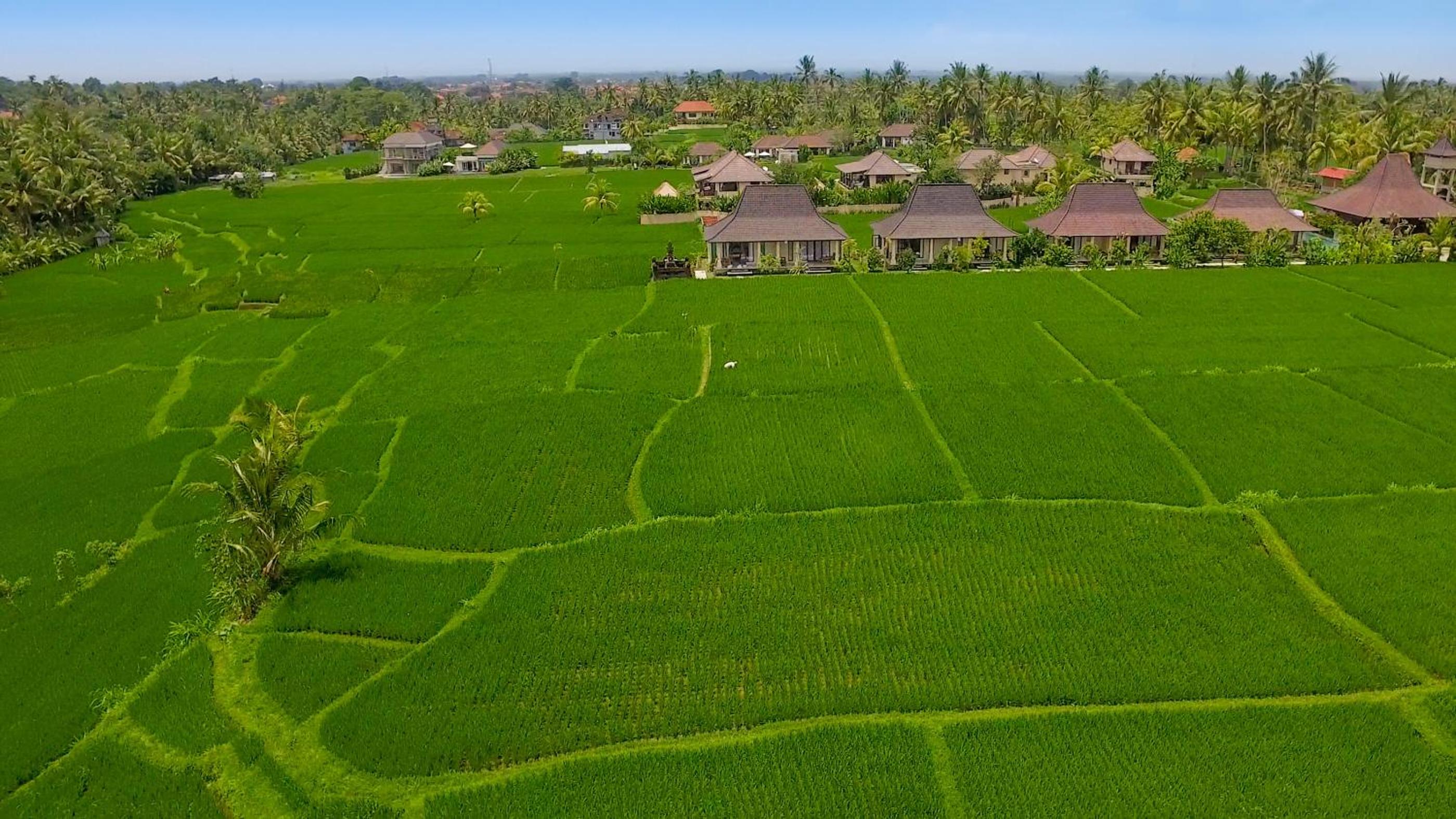 Masia Villa Ubud