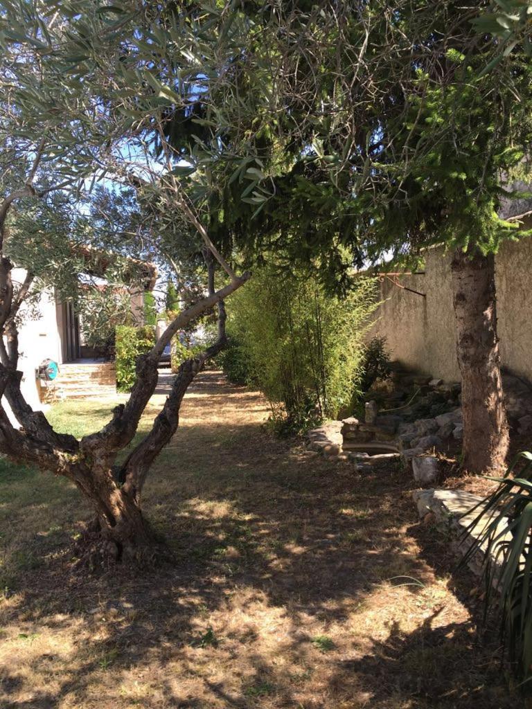 Villa des carassins view 5