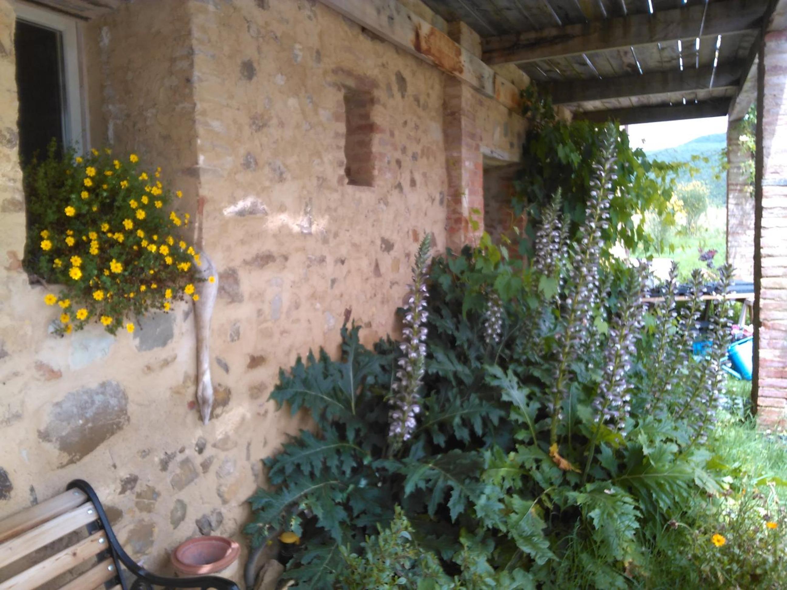 Photo 29